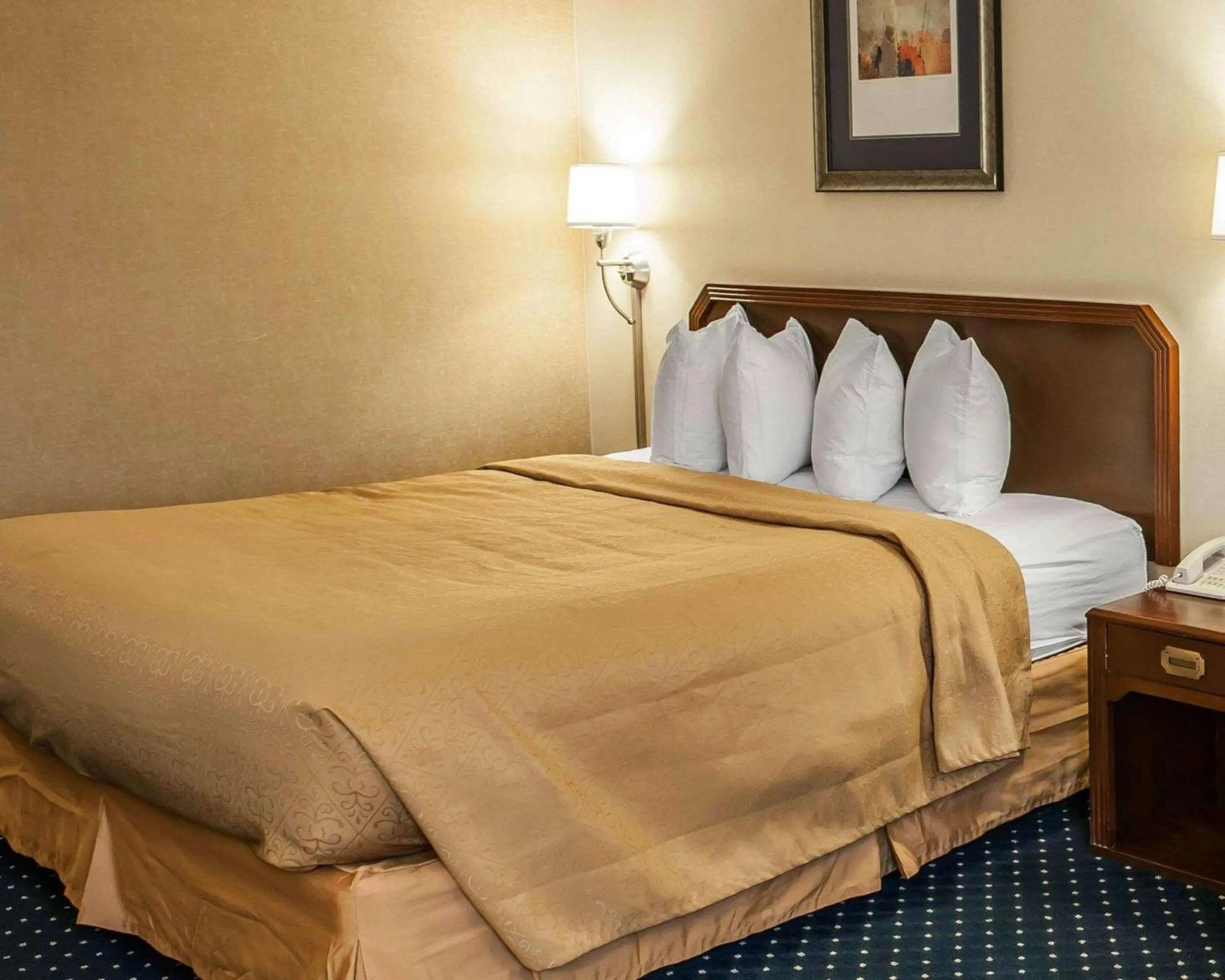 King Room - Non-Smoking in Quality Inn & Suites Goshen