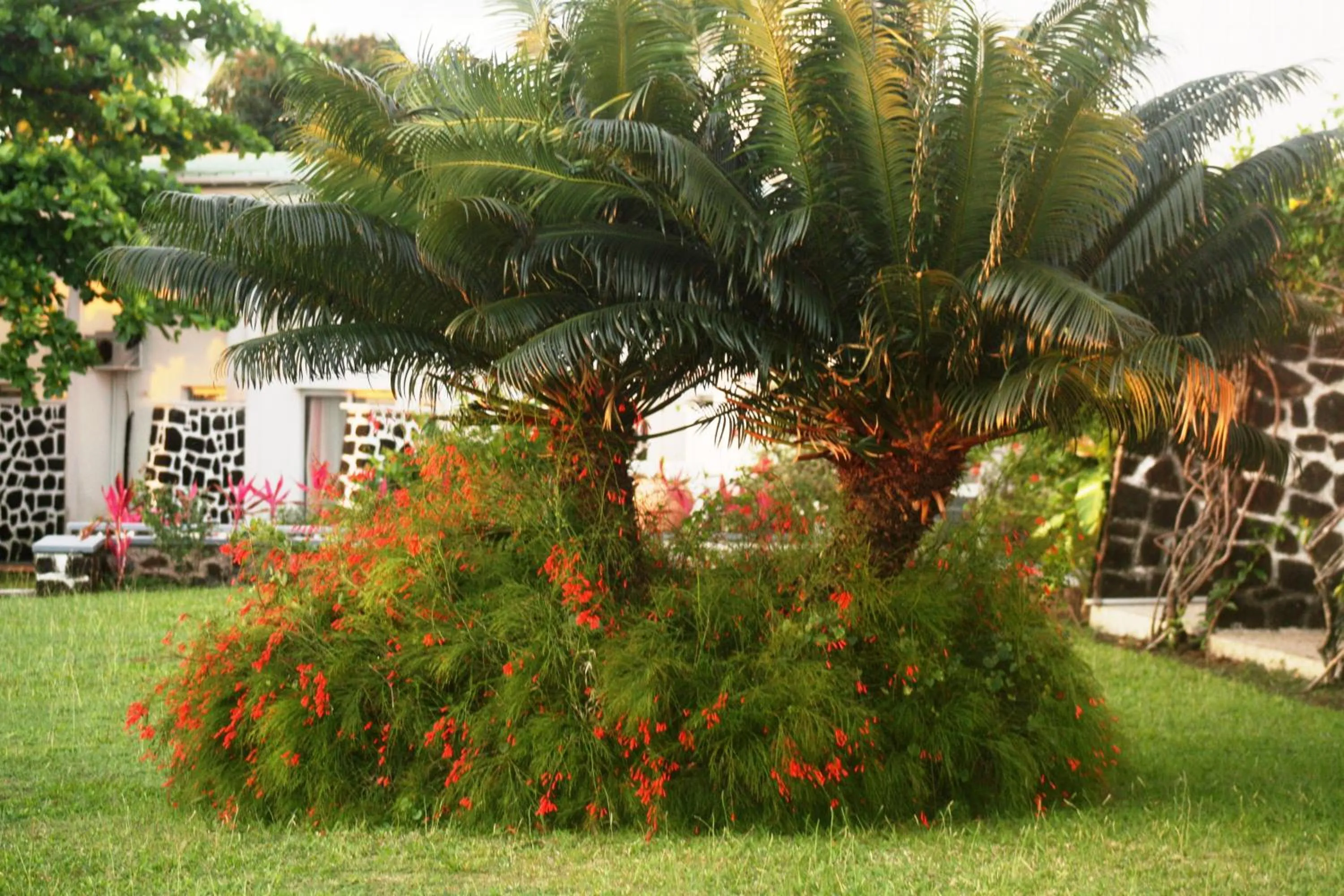 Double Room with Garden View in Retaj Moroni