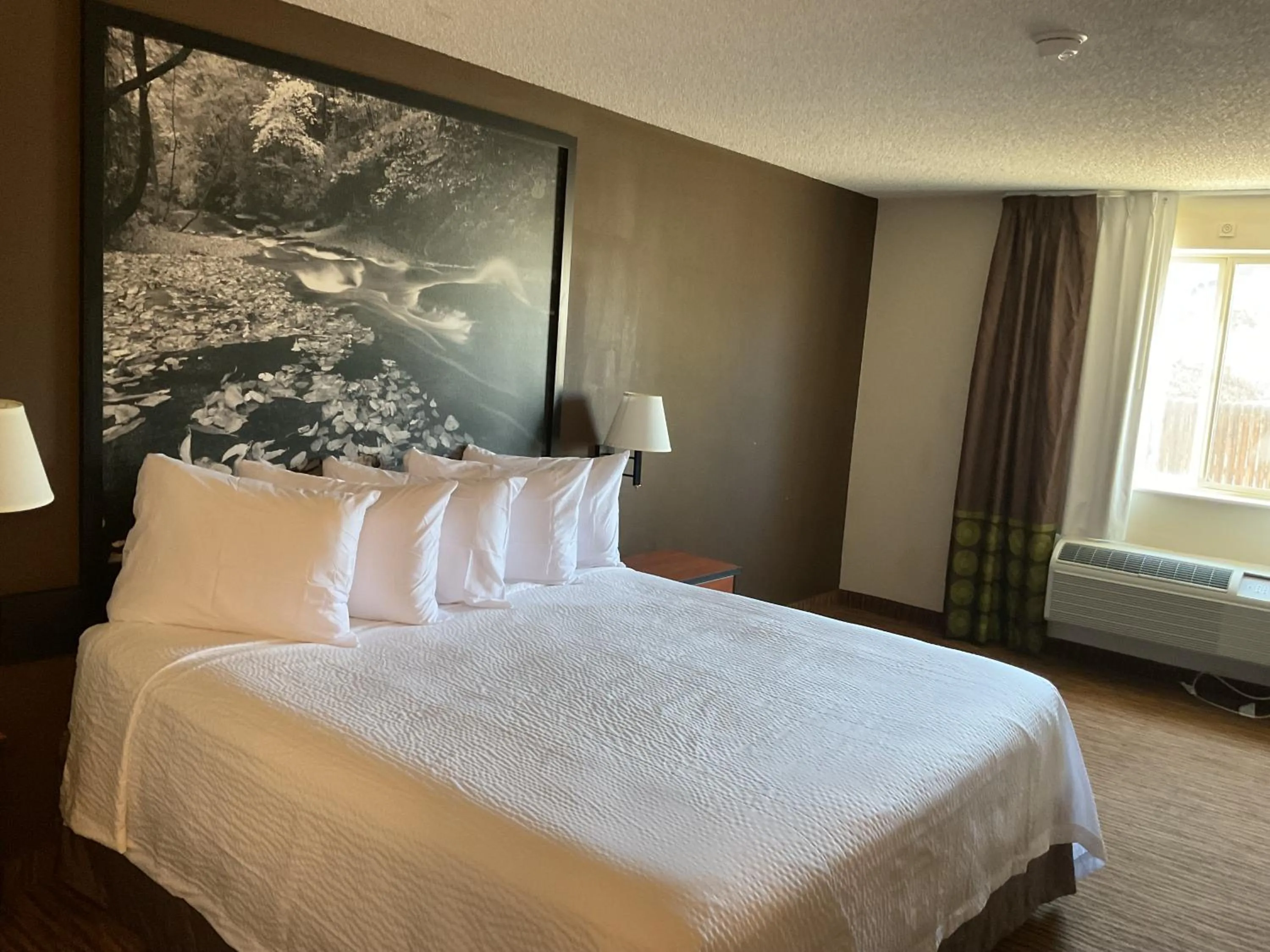 King Room - Disability Access - Non-Smoking in Super 8 by Wyndham Colorado Springs Airport