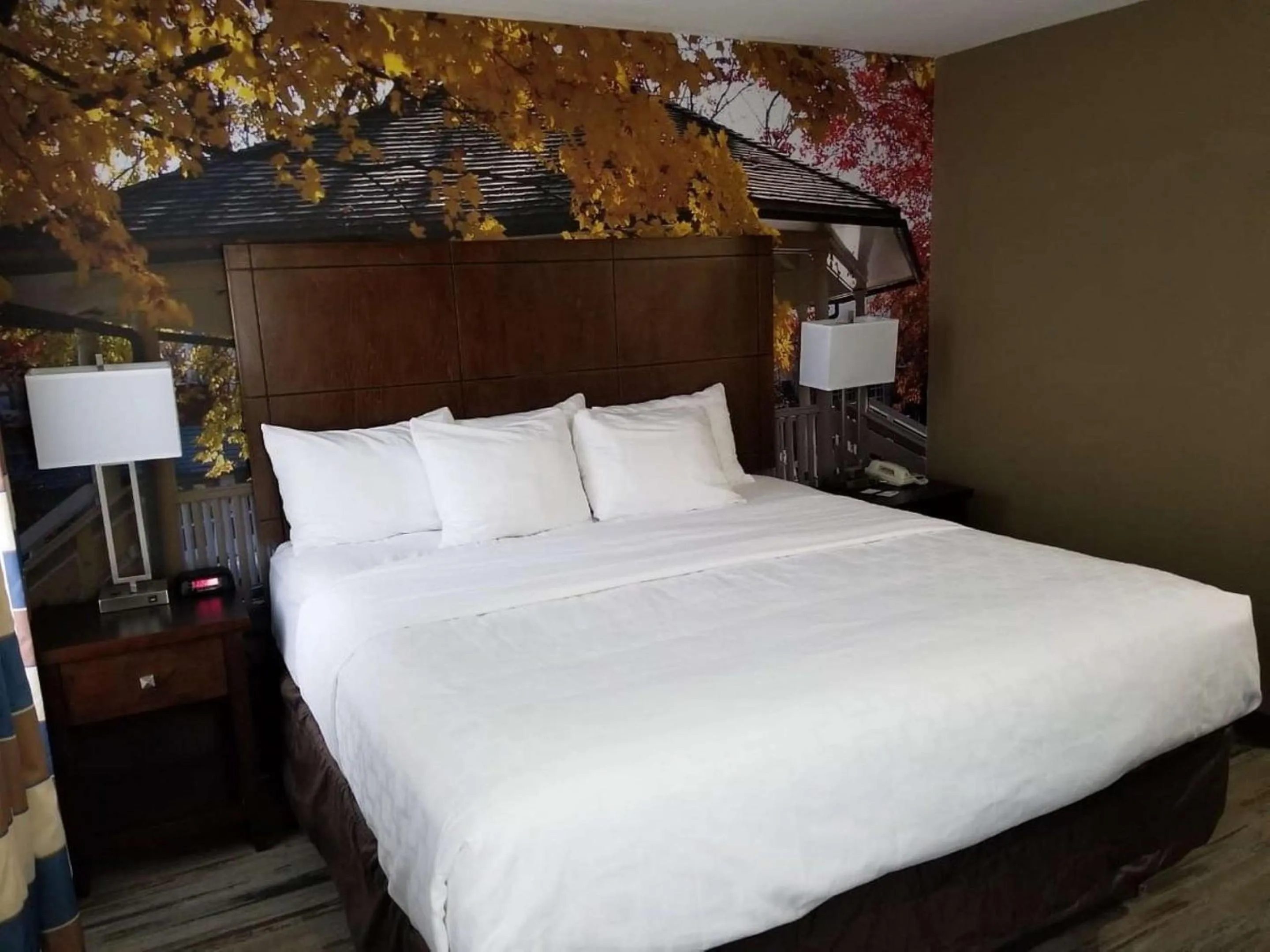 King Room with Sofa Bed - Non-Smoking in SureStay Plus by Best Western Corydon