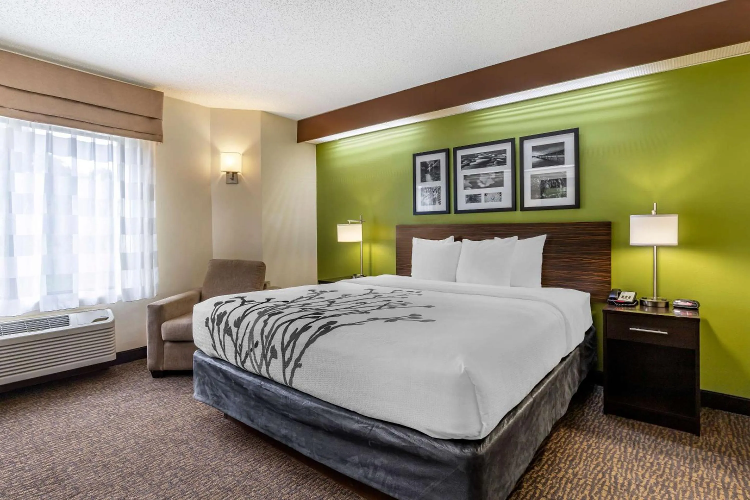 King Room - Non-Smoking in Sleep Inn Matthews-Charlotte