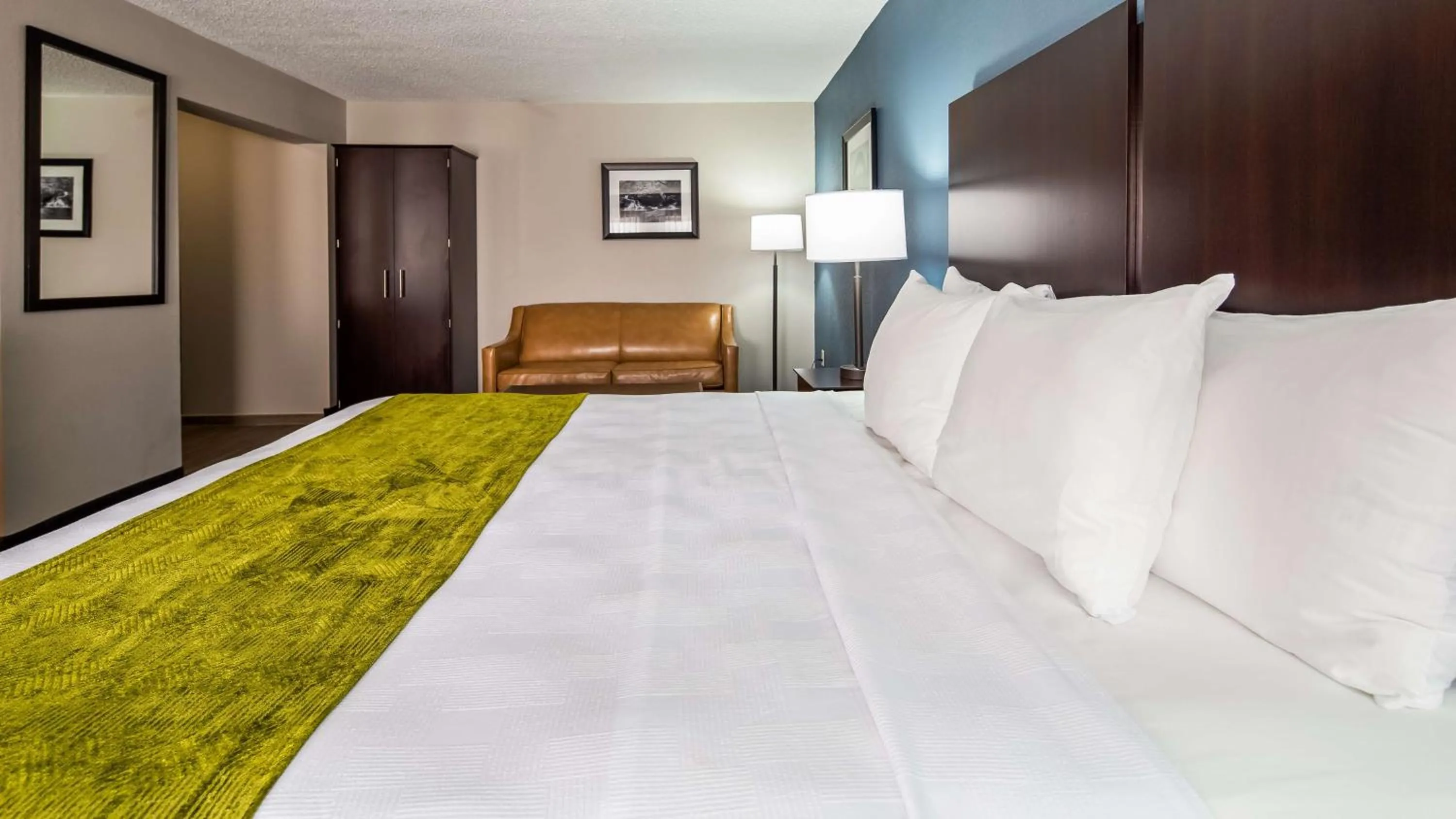 King Suite with Sofa Bed - Non-Smoking in Best Western Rock Hill