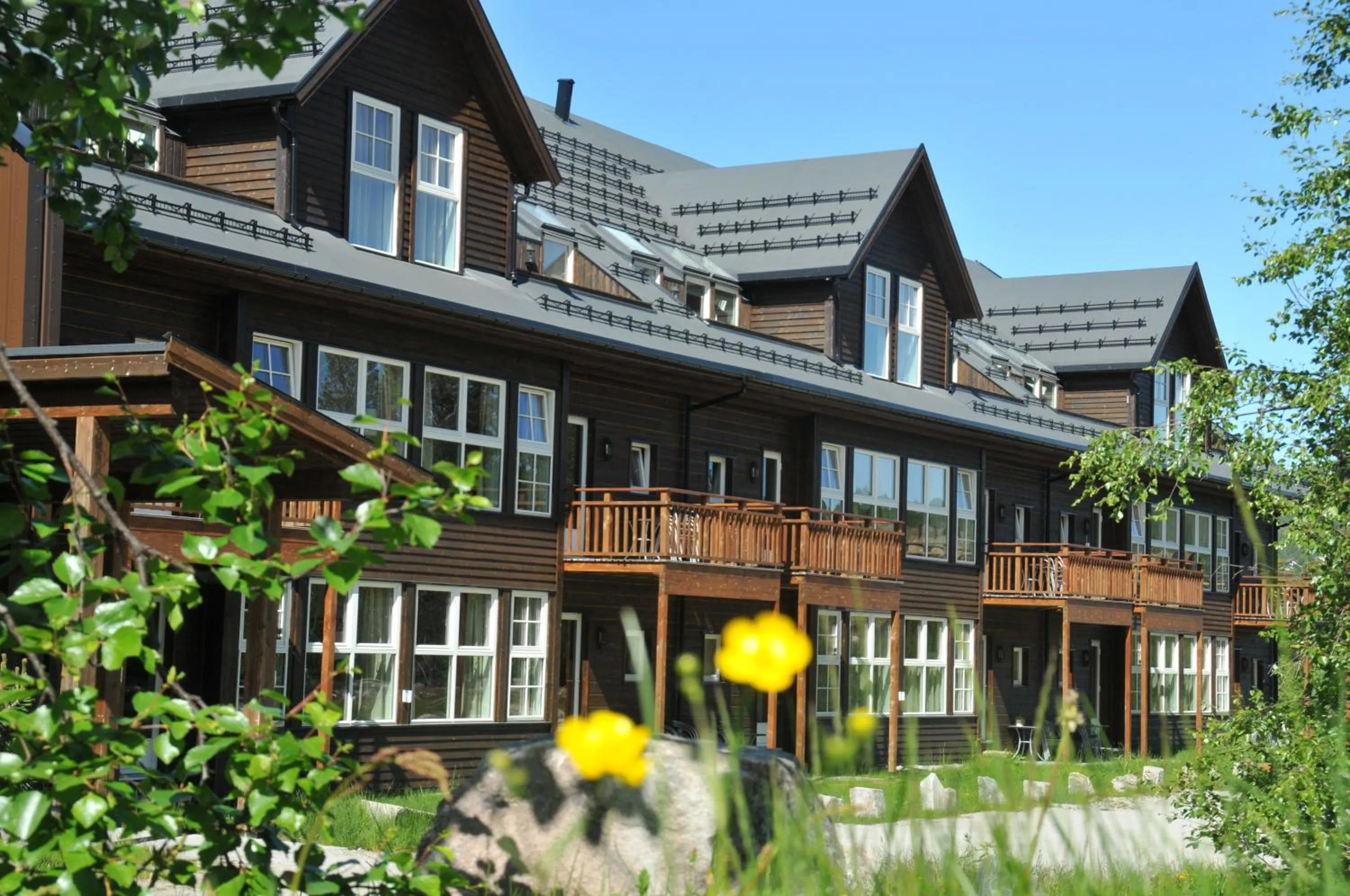 Self catered 3-bedroom apartment in Hovdestøylen