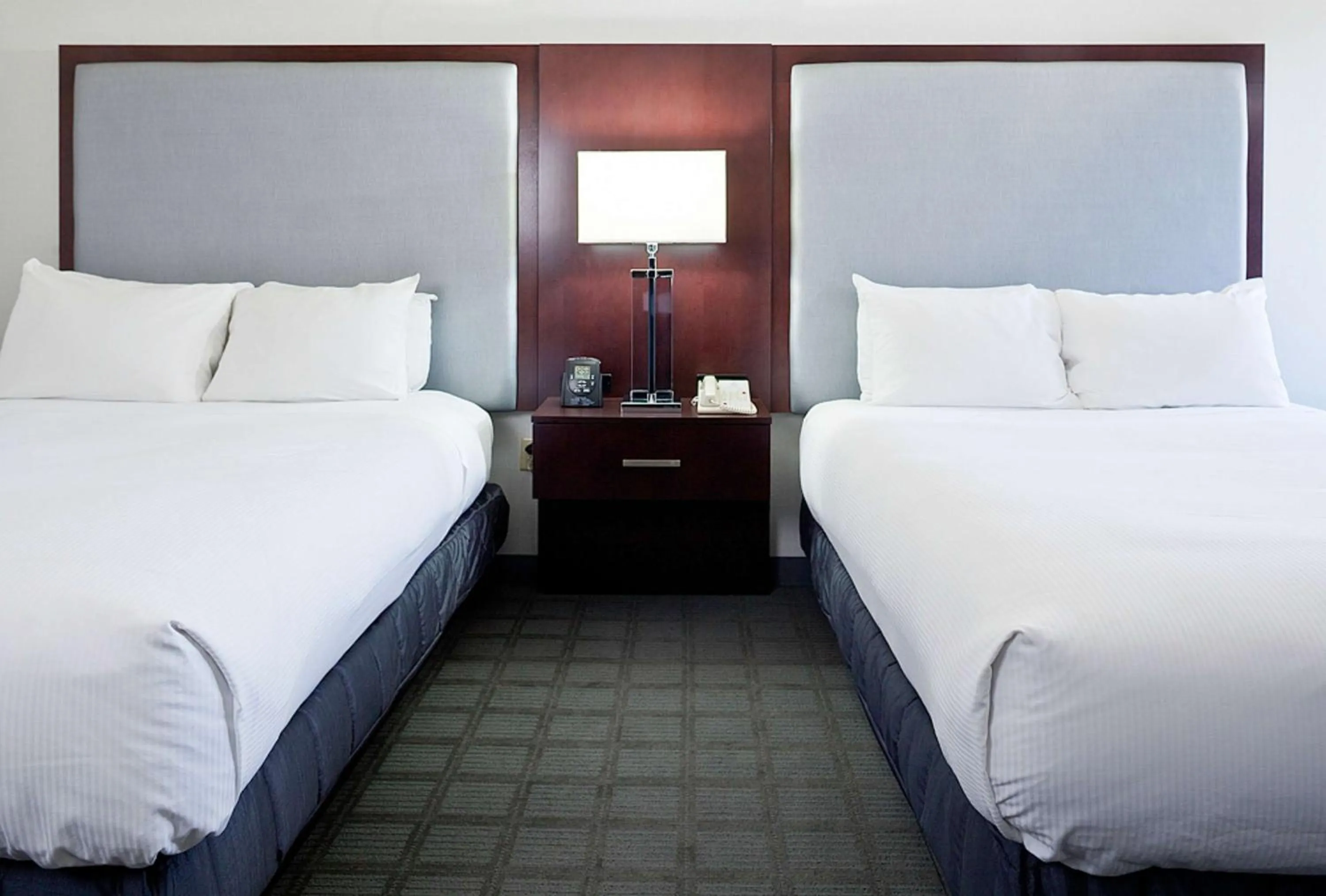 Queen Room with Two Queen Beds in Hilton Scranton & Conference Center