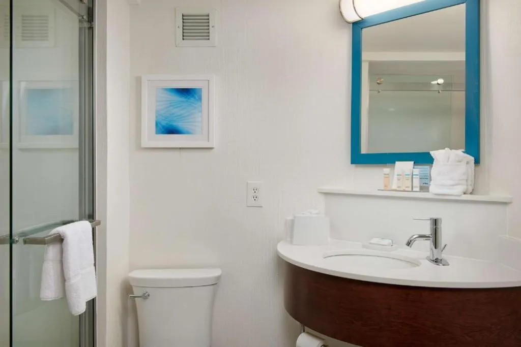 King Room with Shower - Non-Smoking in Hampton Inn Atlanta-Cumberland Mall/Cobb Galleria Area