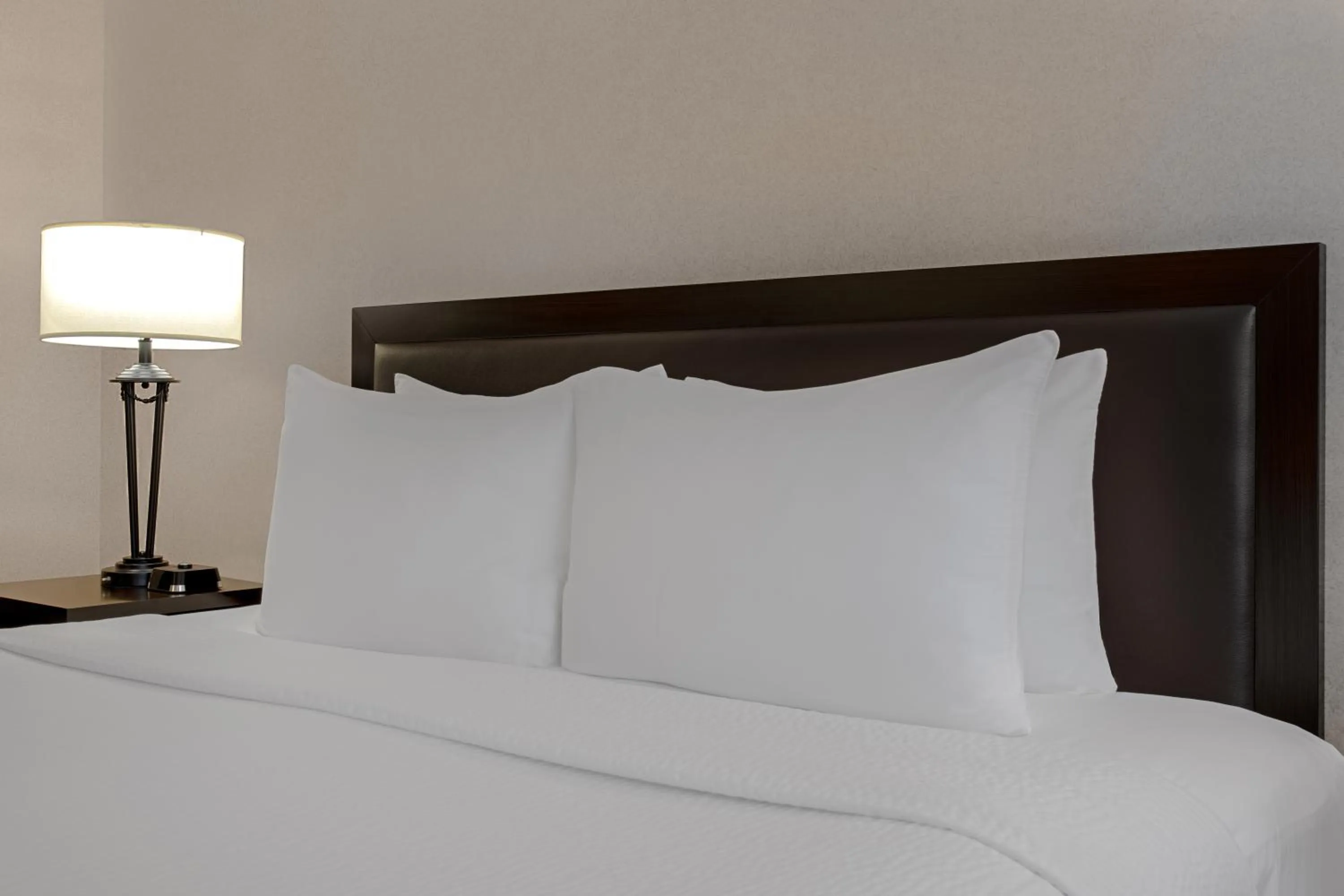 Queen Room - Non-Smoking in Ramada Plaza by Wyndham Calgary Downtown