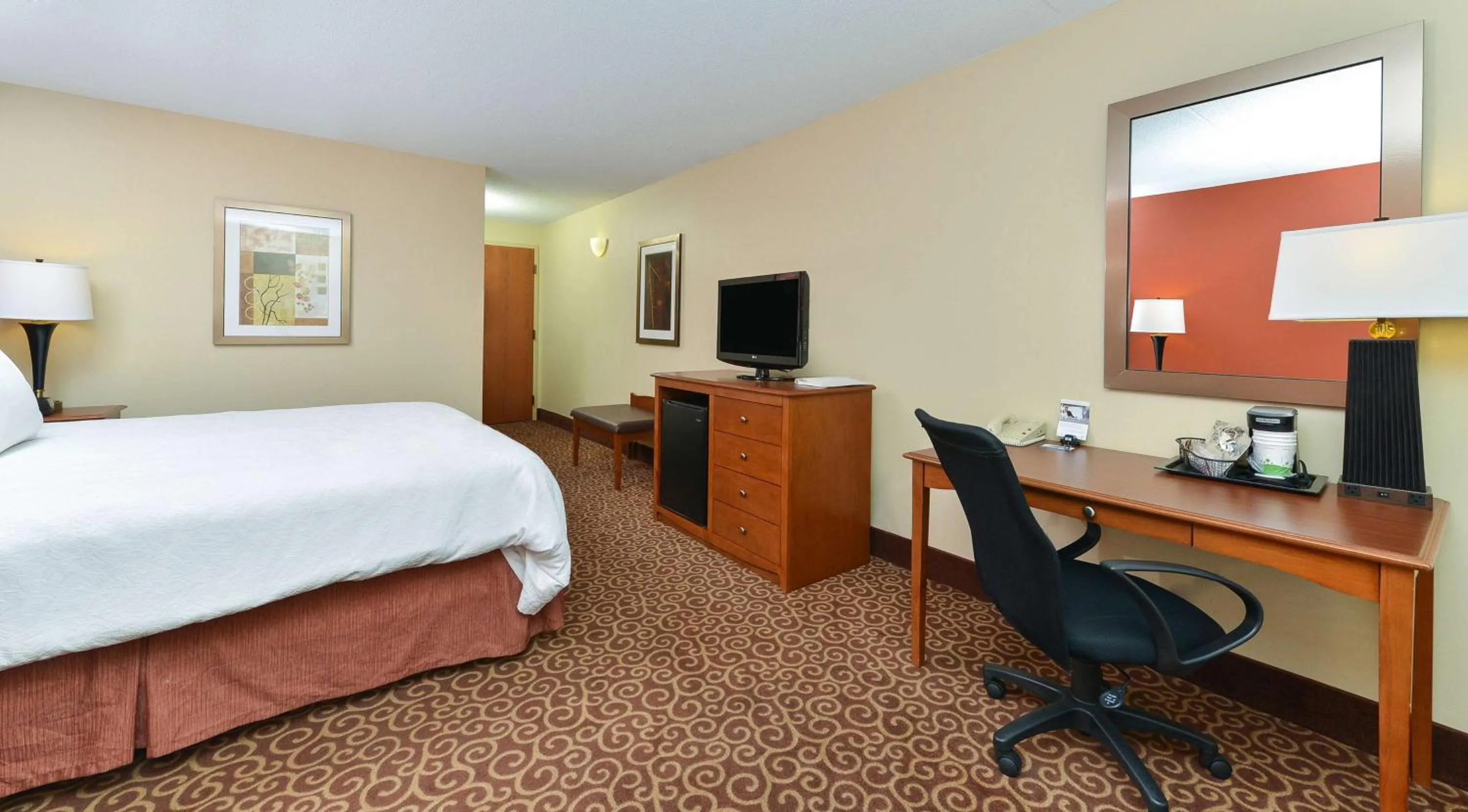 King Room with Accessible Tub - Mobility and Hearing Access/Non-Smoking in Hampton Inn Chicago-Carol Stream