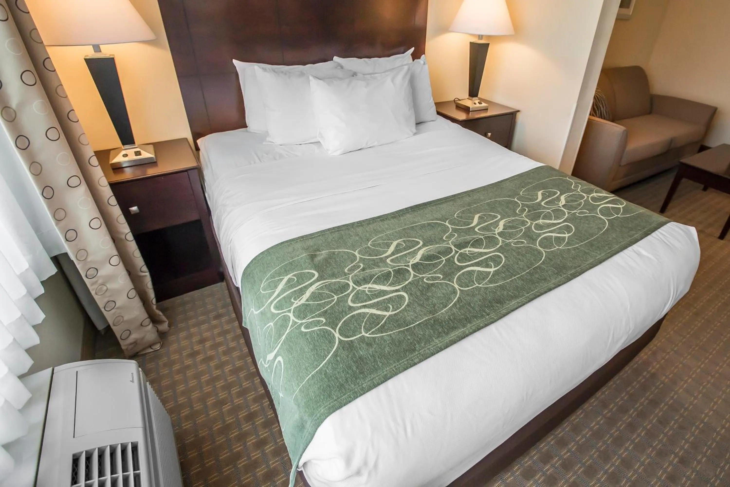 Queen Suite - Accessible/Non-Smoking in Comfort Suites University Area Notre Dame-South Bend