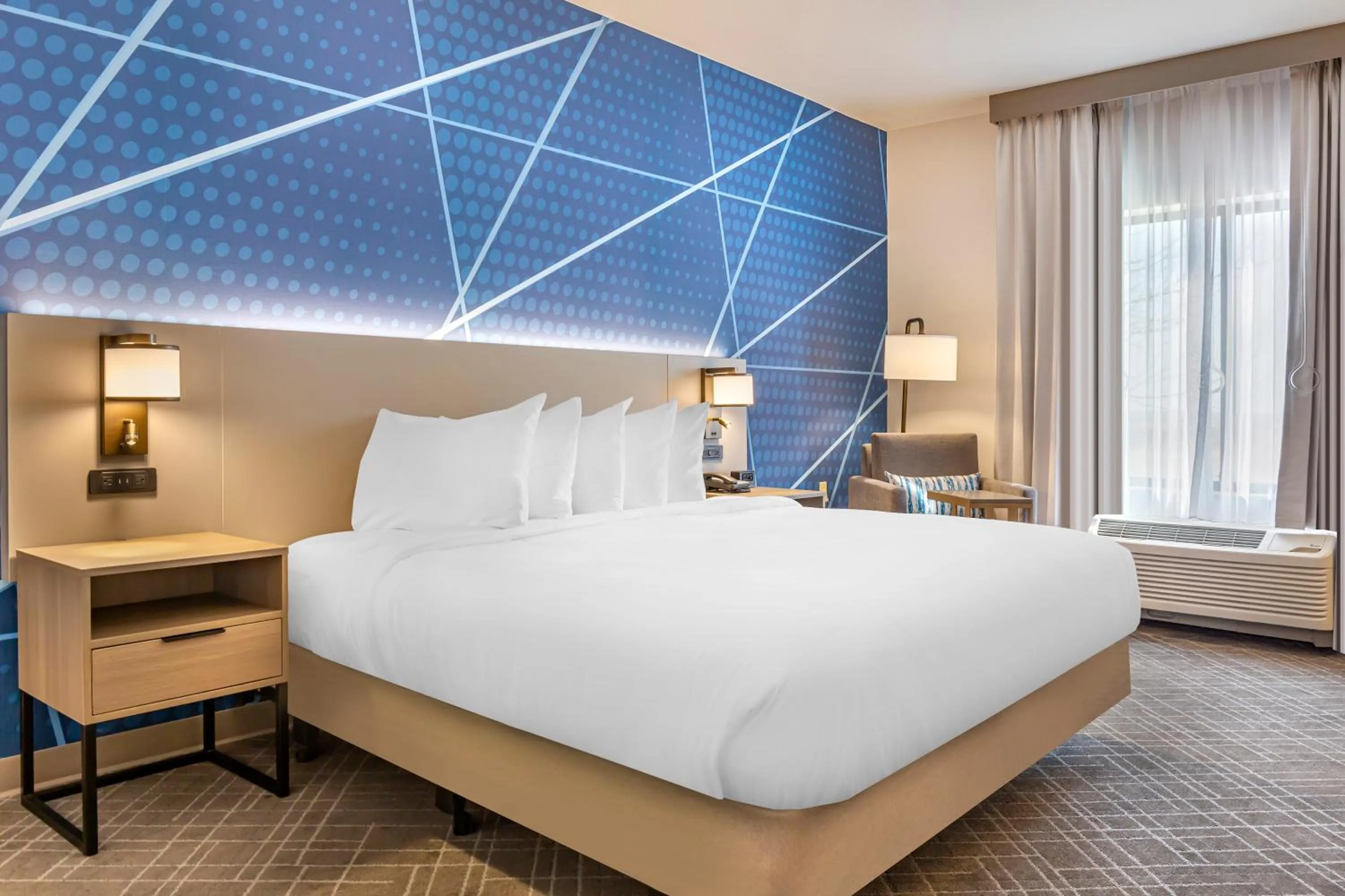 King Room with Roll-In Shower - Disability Access/Non Smoking in Comfort Inn & Suites Rapid City near Mt Rushmore