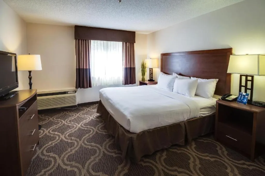 Queen Room in Ashmore Inn and Suites Lubbock