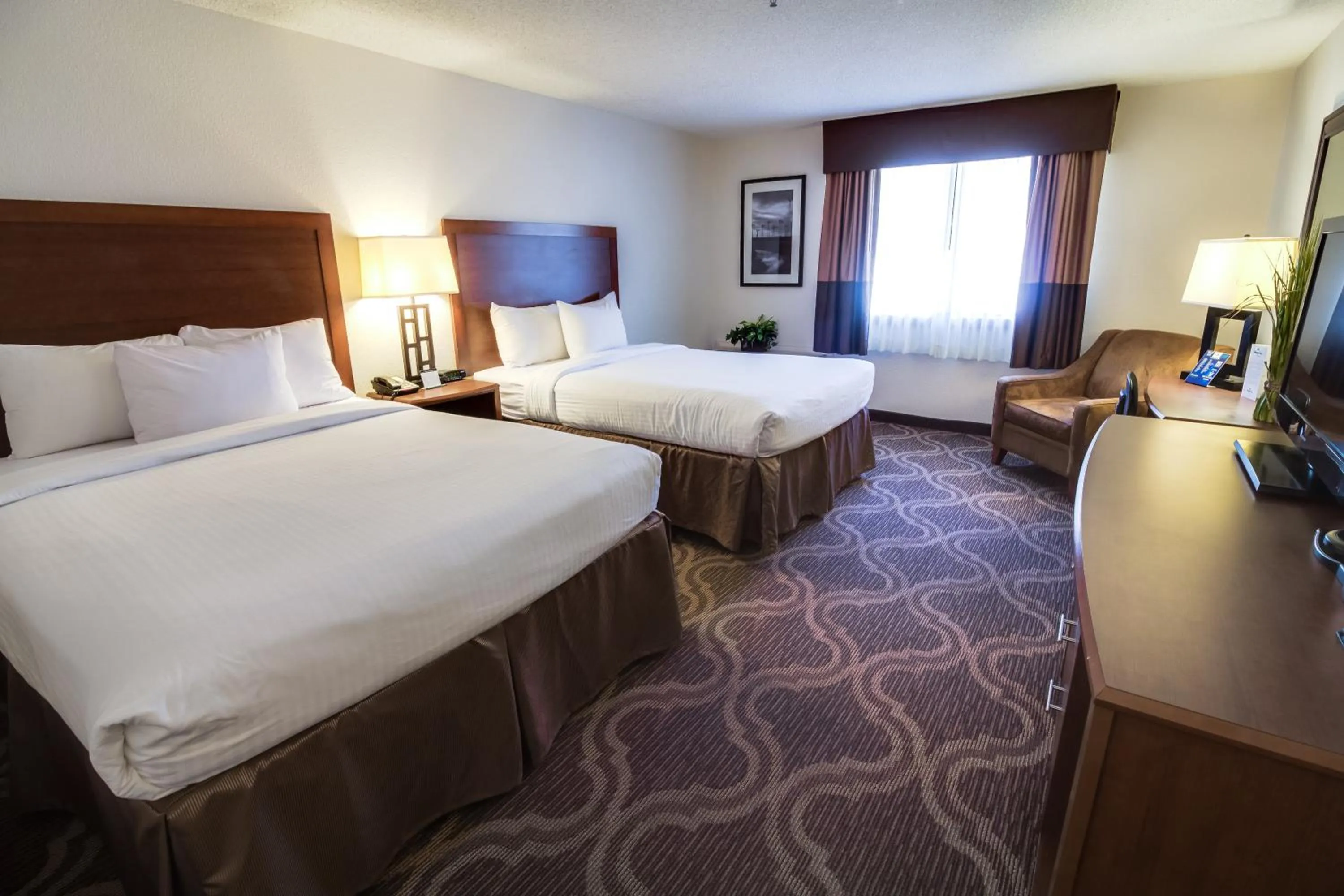 Standard Room with Two Queen Beds in Ashmore Inn and Suites Lubbock