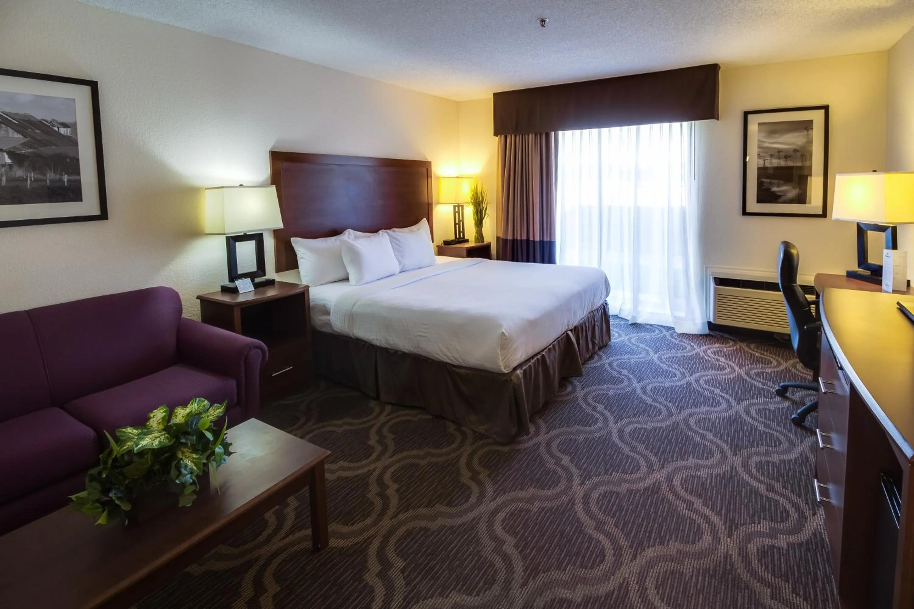 Single Room - single occupancy in Ashmore Inn and Suites Lubbock