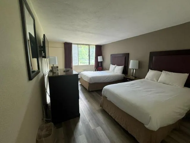 Standard Double Room in Town Inn