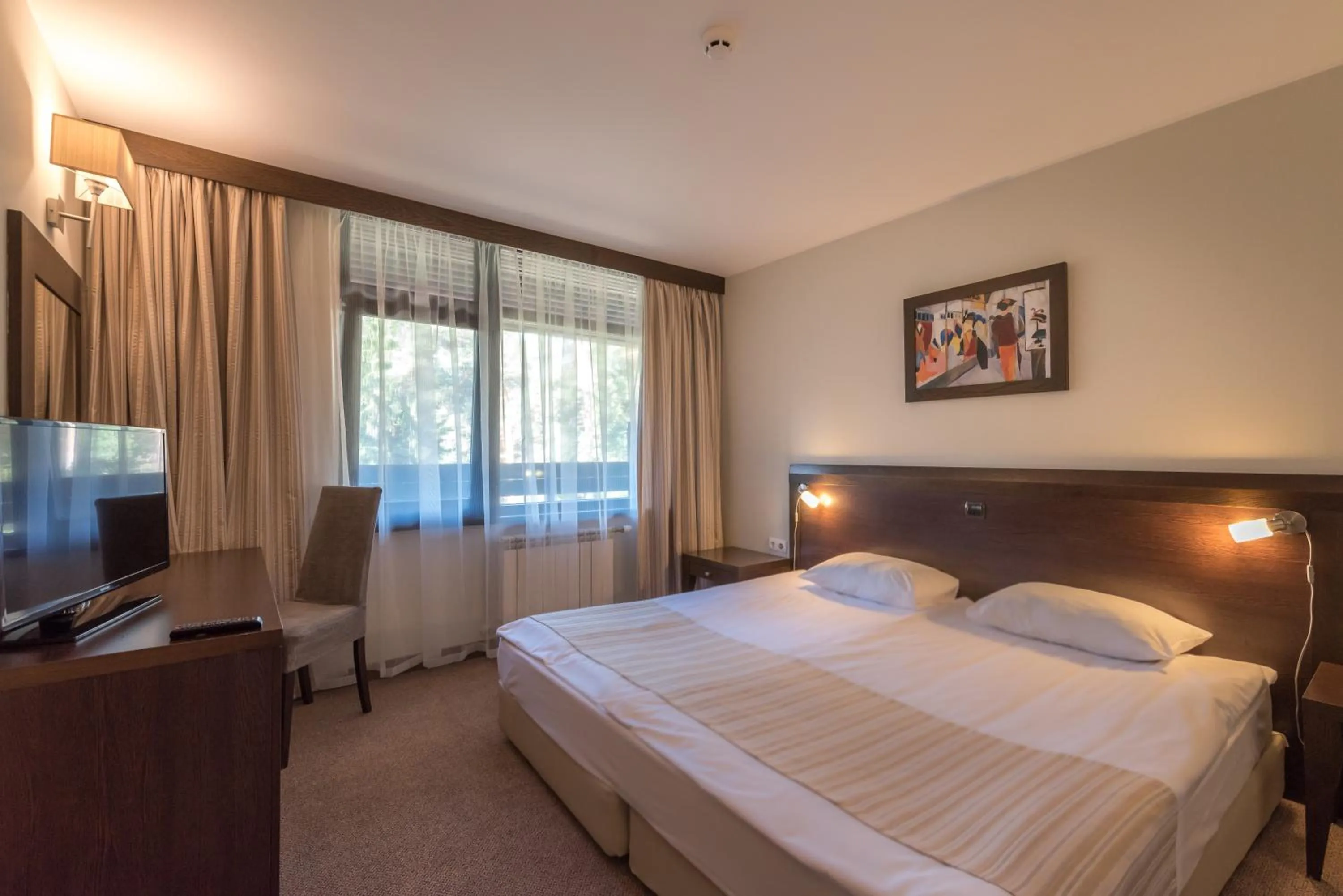 Standard  Double Room with Free Spa Access  in Lion Hotel Borovets