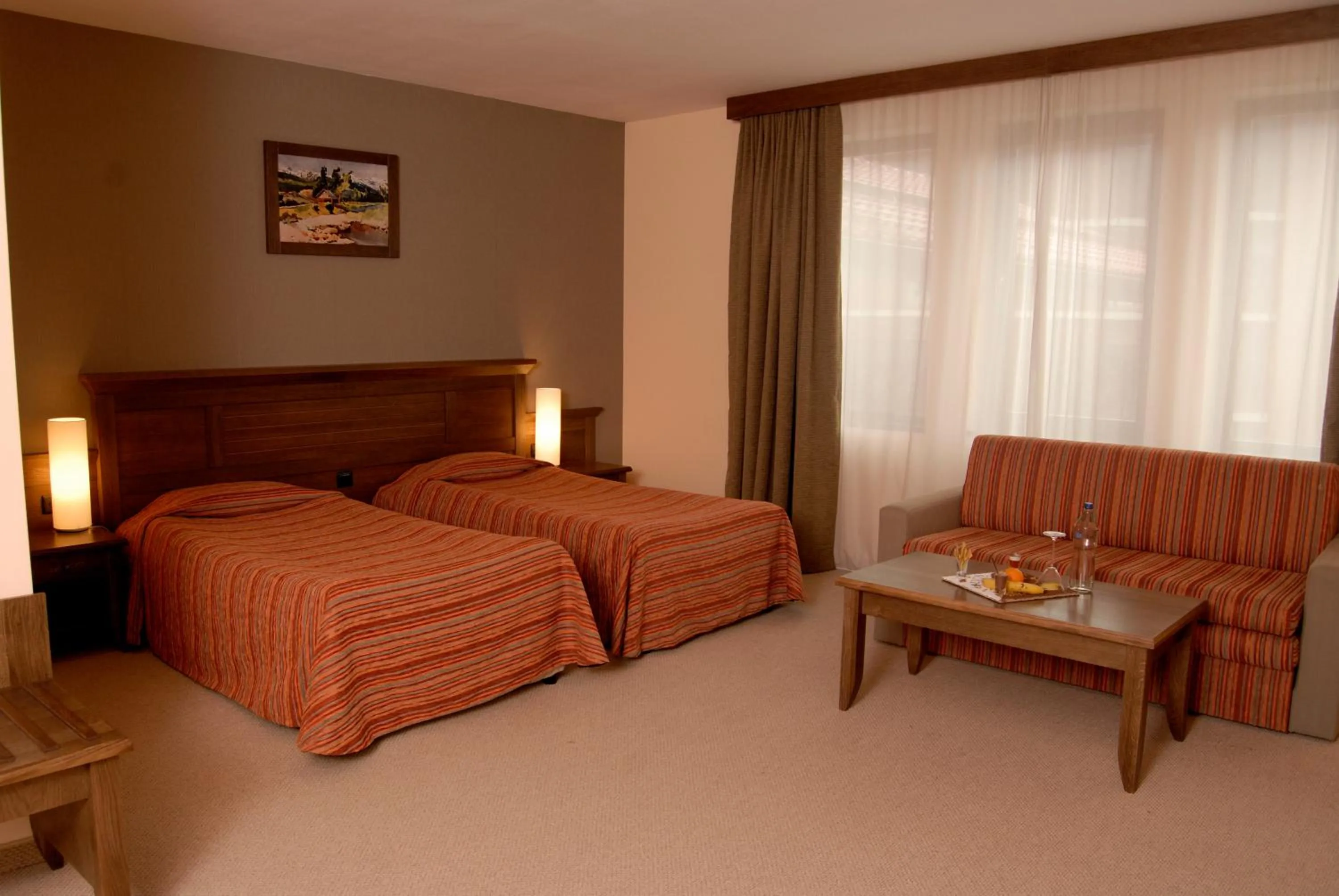Double or Twin Room in Lion Bansko Hotel