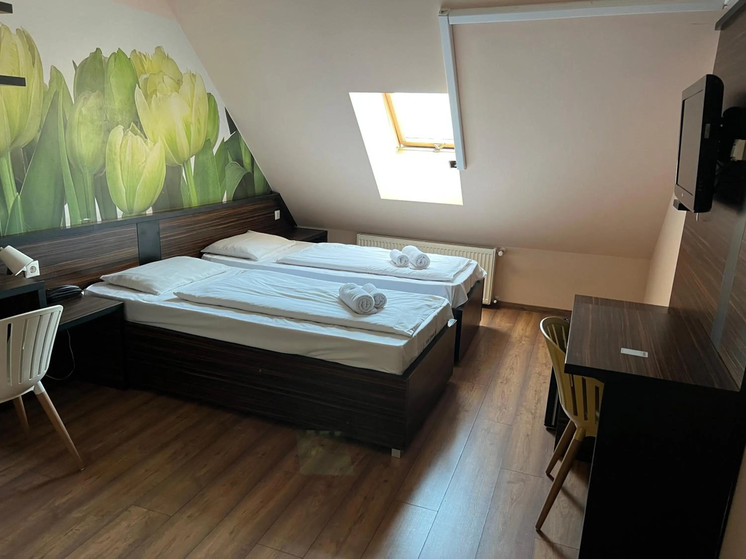 Economy Double Room in Green Hotel Budapest