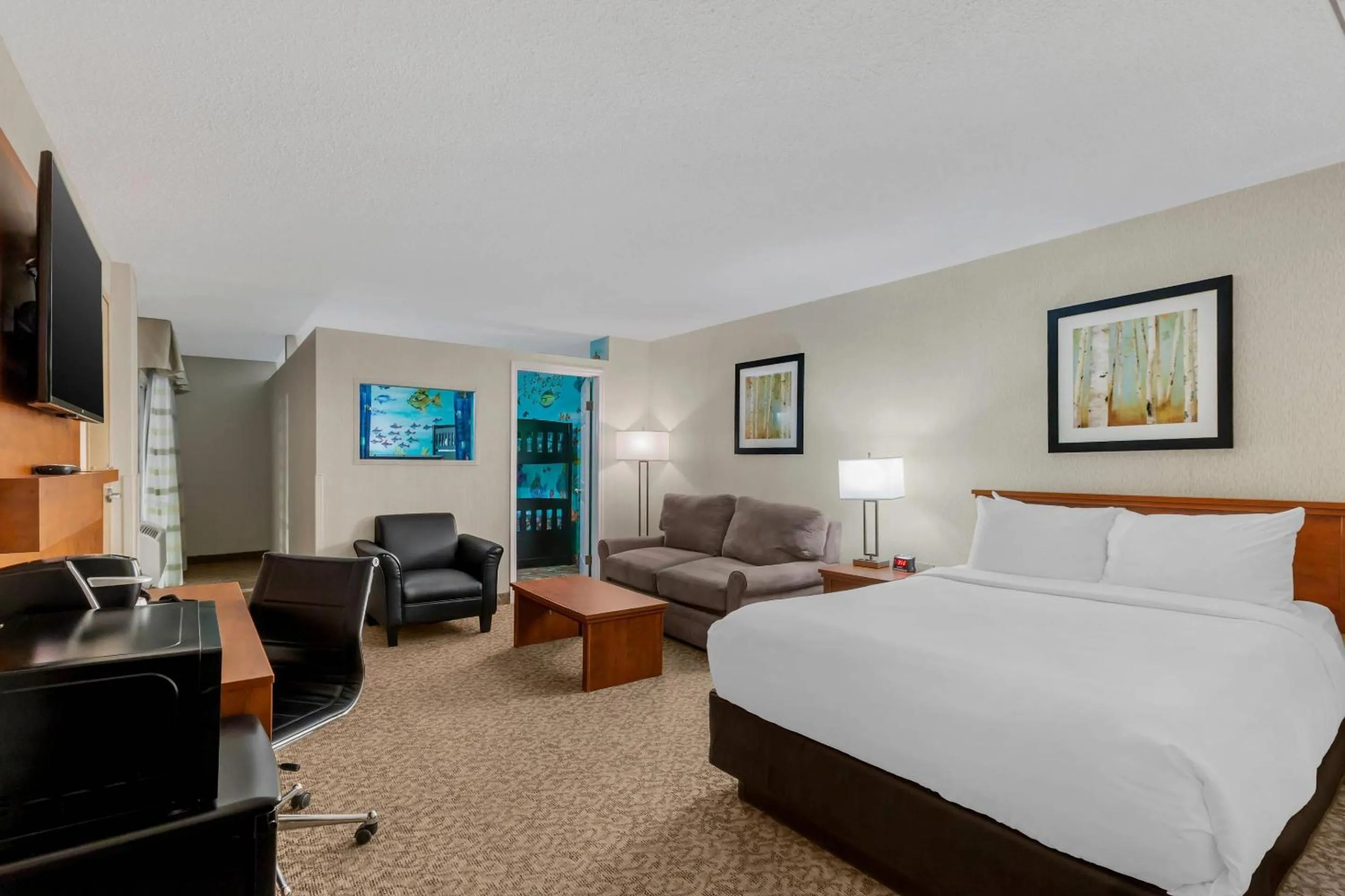 Queen Suite with Sofa Bed - Non-Smoking in Clarion Hotel & Suites