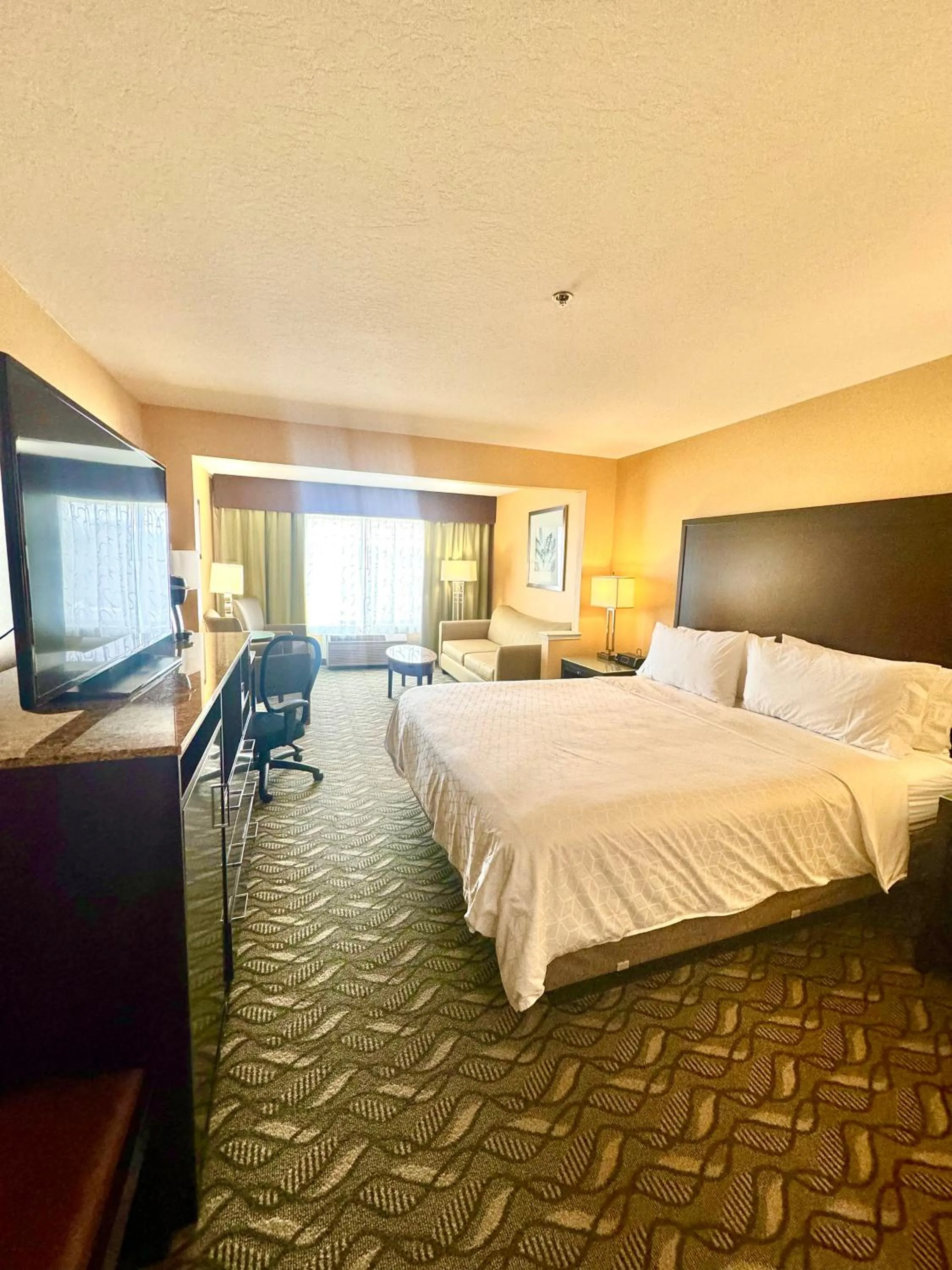King Suite in Holiday Inn Express Hotel & Suites San Jose-Morgan Hill by IHG