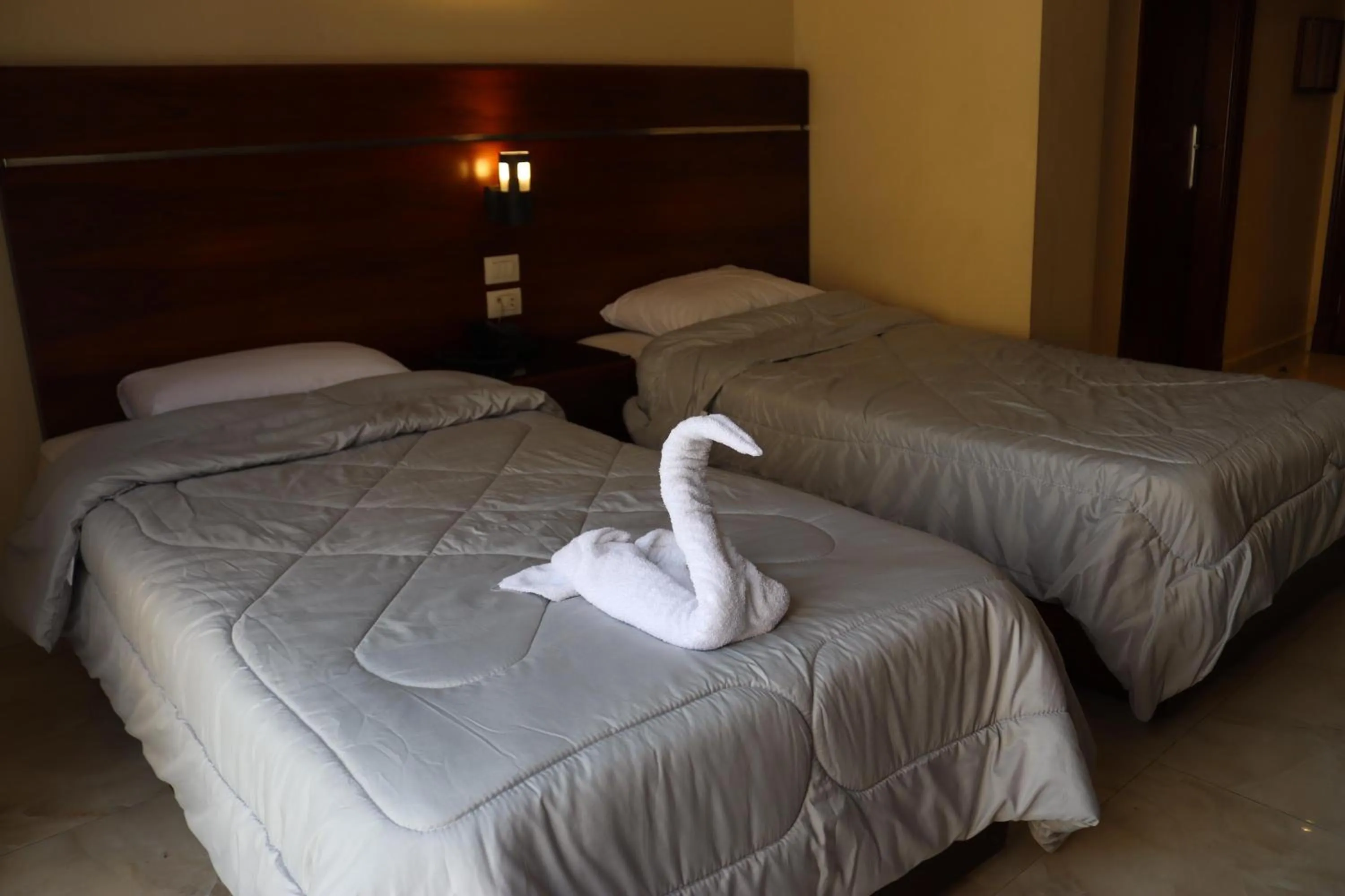 Deluxe Double or Twin Room with City View in Pharaohs Hotel