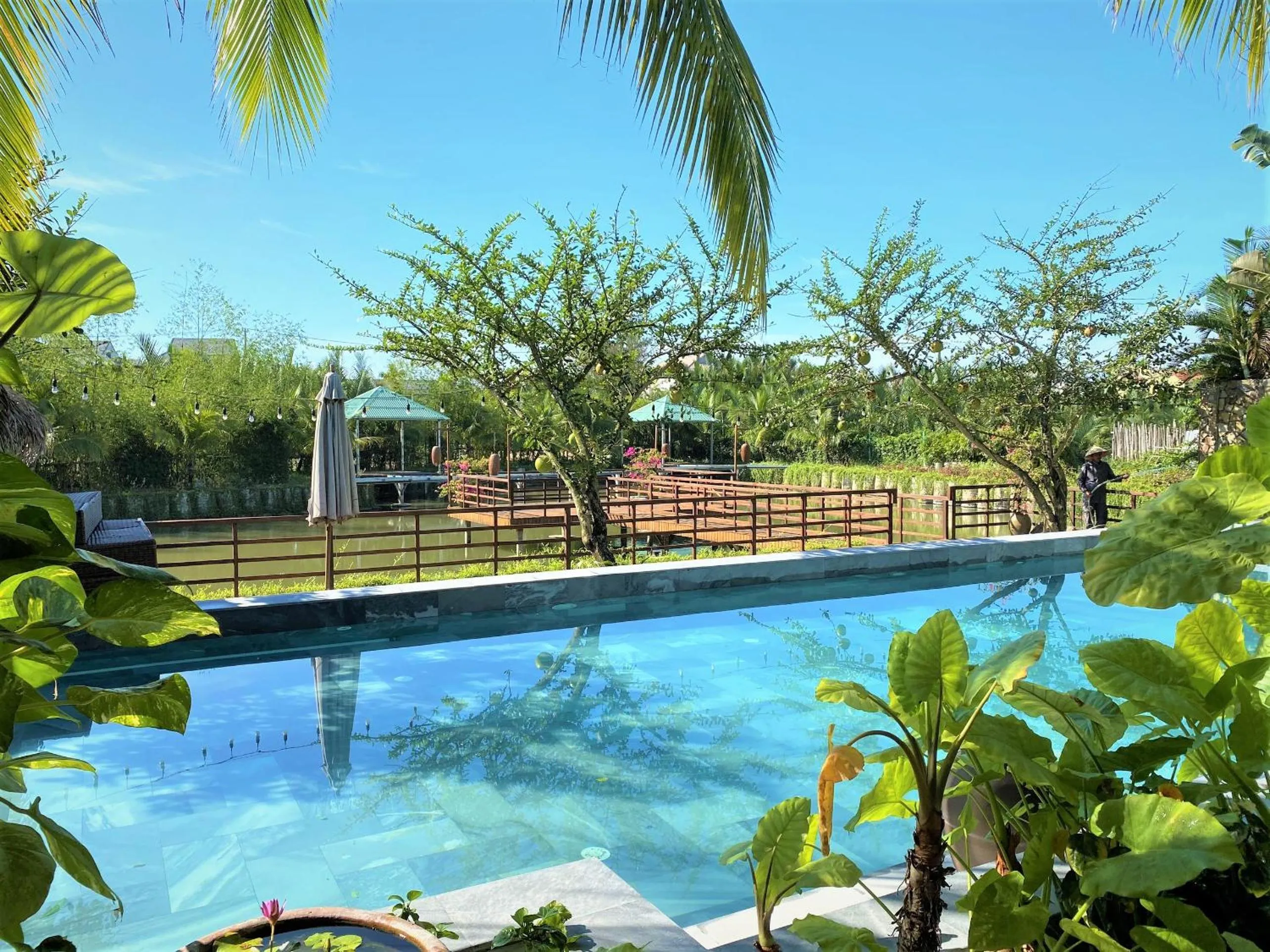 Club Suite with Pool View  in Hoi An Eco Lodge & Spa