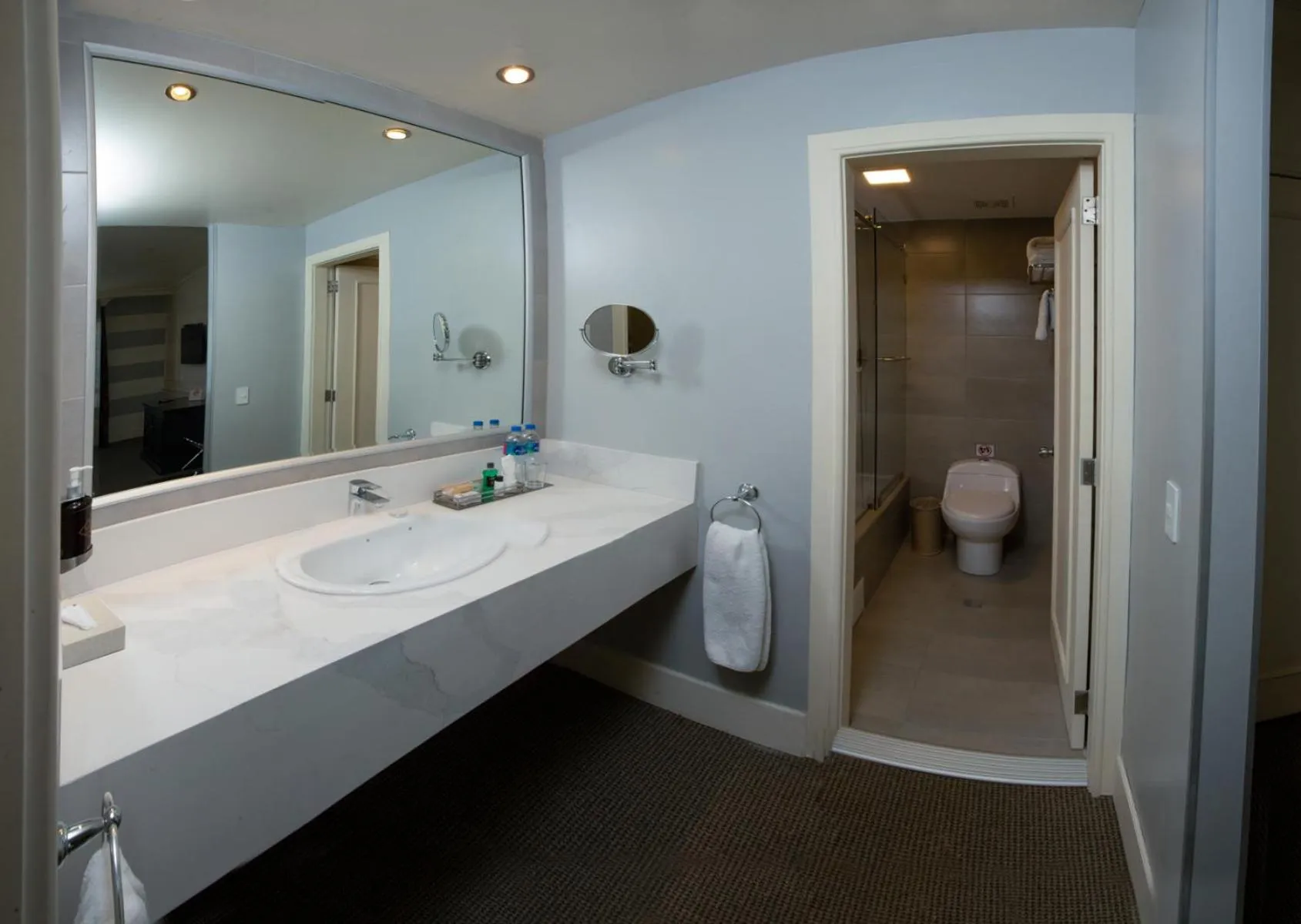 Suite in Dann Carlton Quito