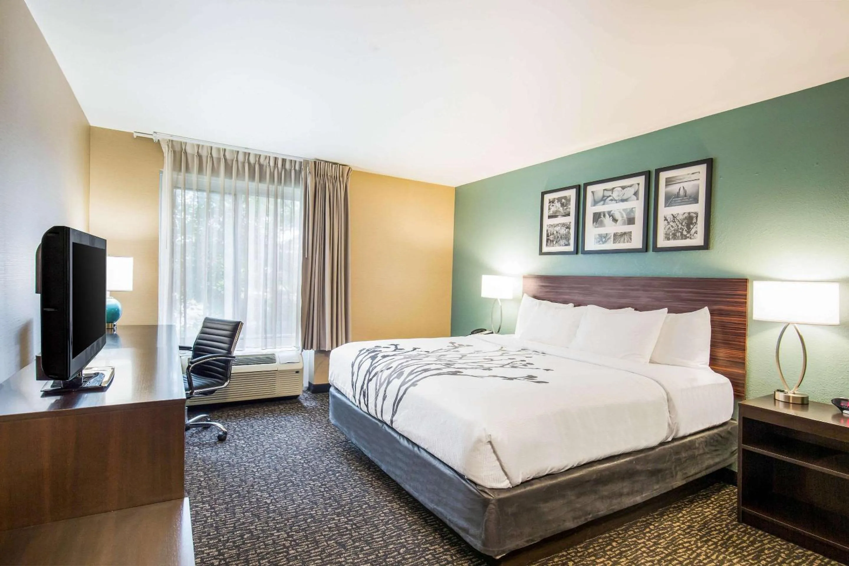 Standard King Room - Non-Smoking  in Sleep Inn & Suites Dunmore