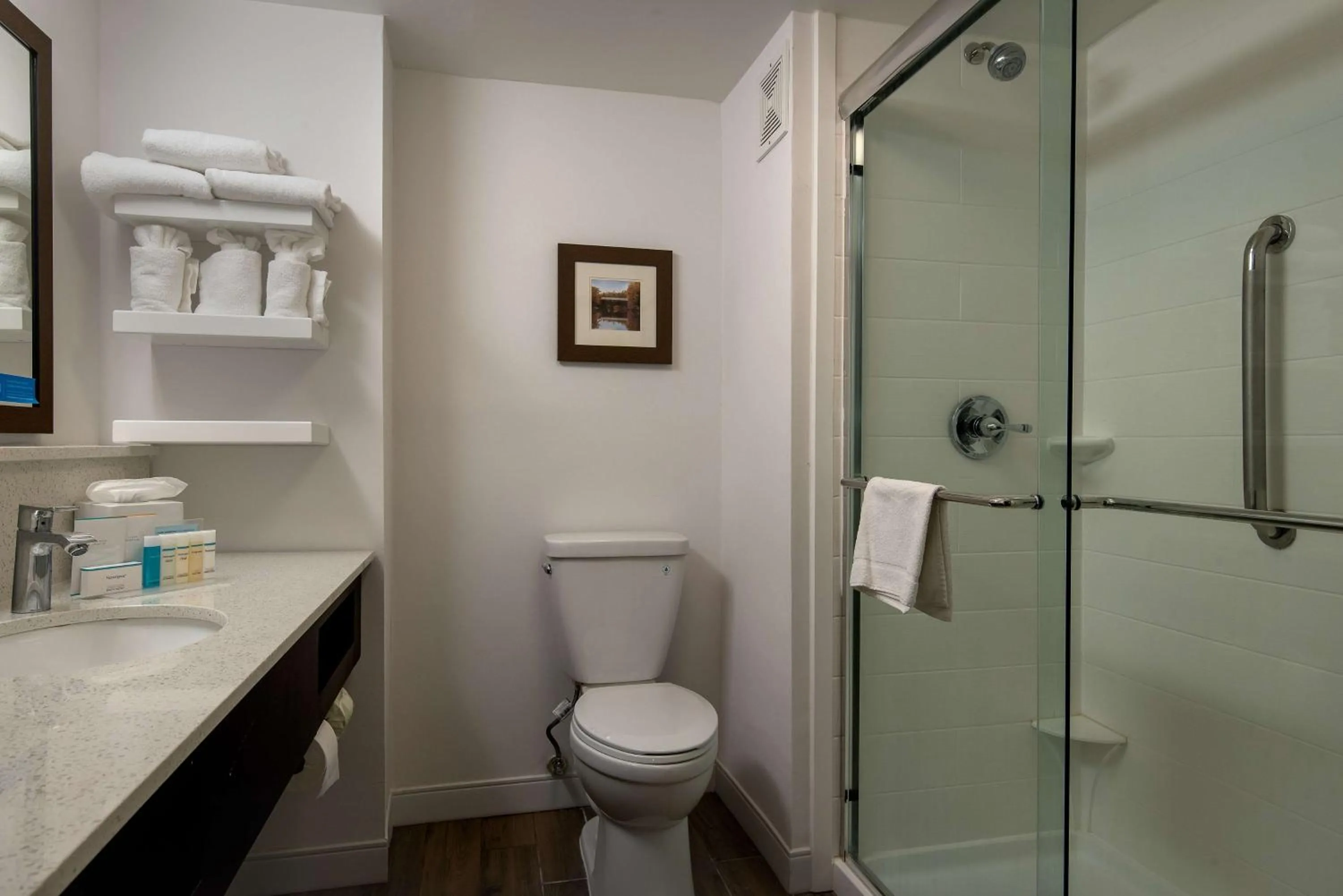 King Mobility and Hearing Access/Non-Smoking in Hampton Inn Commerce