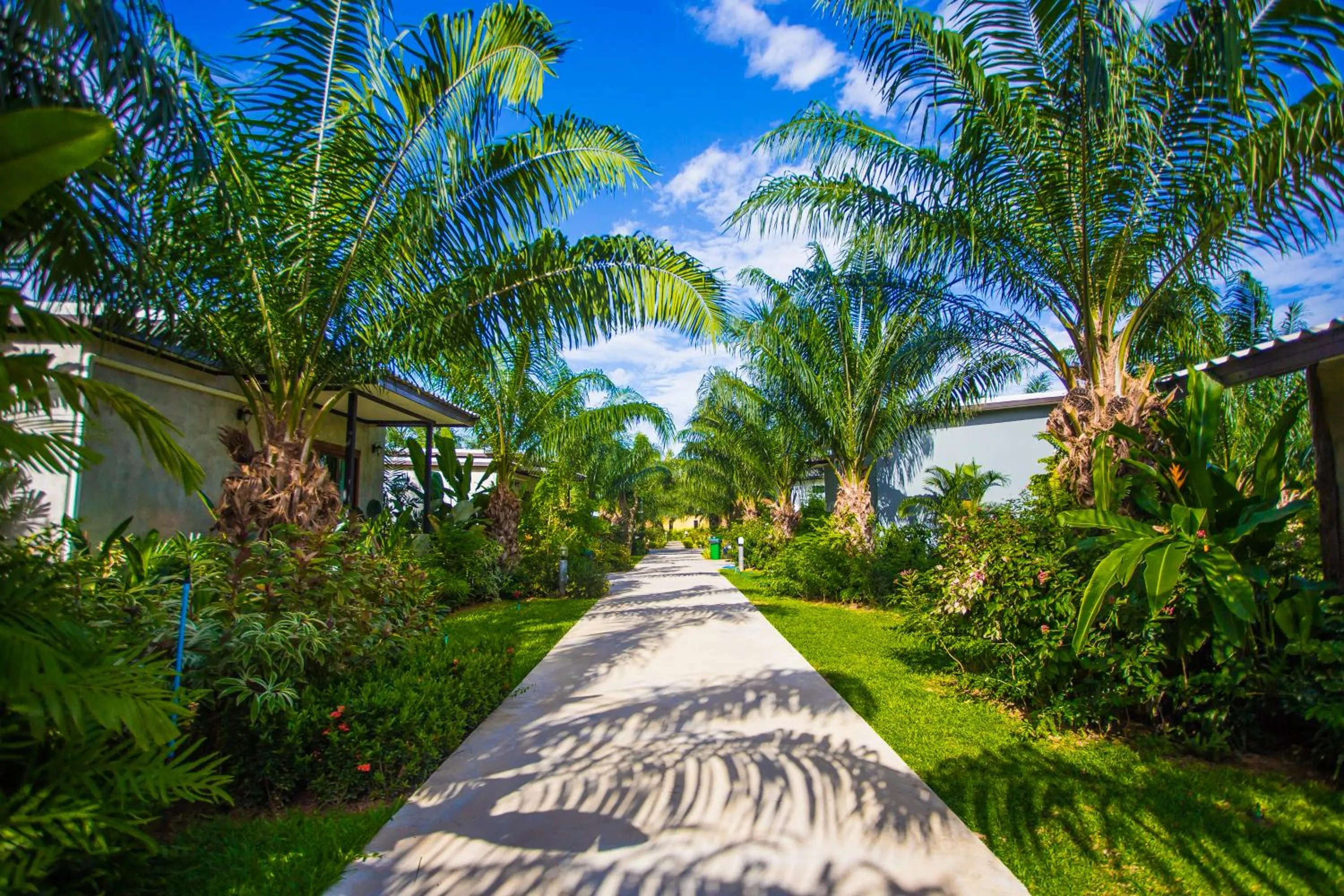 Standard Quadruple Room in Palm Pran Resort