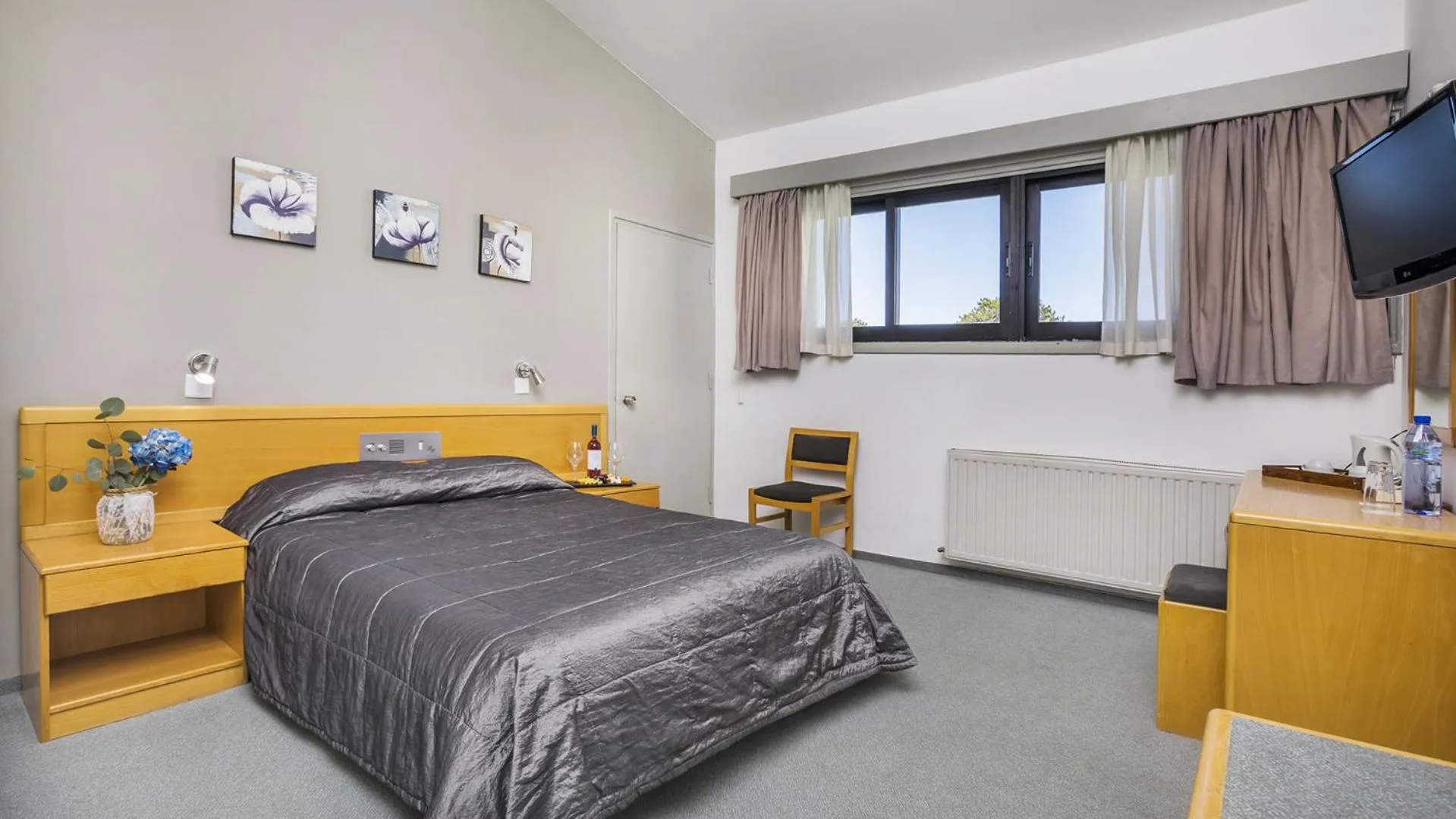 Standard Double or Twin Room - single occupancy in Troodos Hotel & Spa