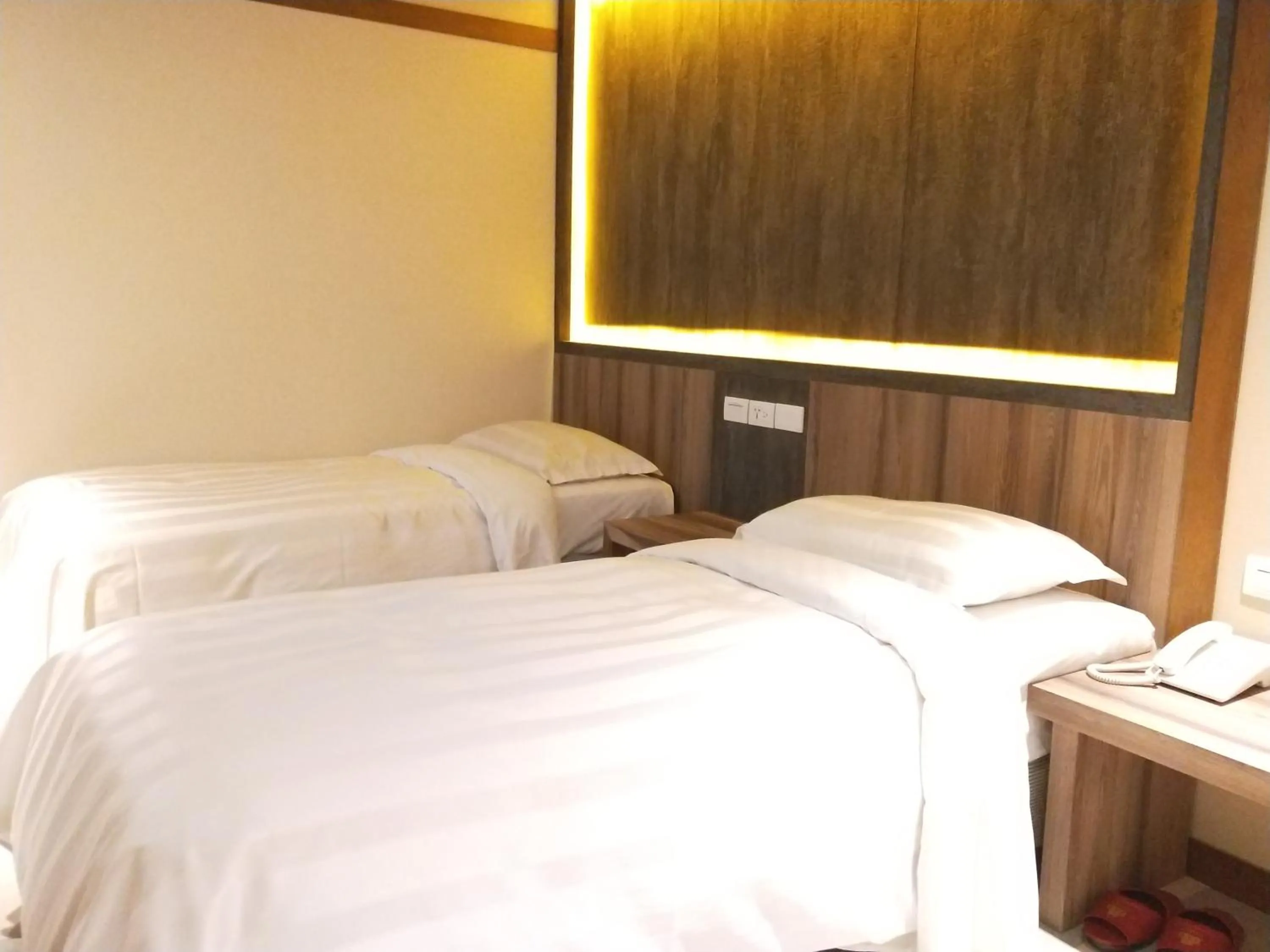 Budget Double or Twin Room without Window in Dahshin Hotel