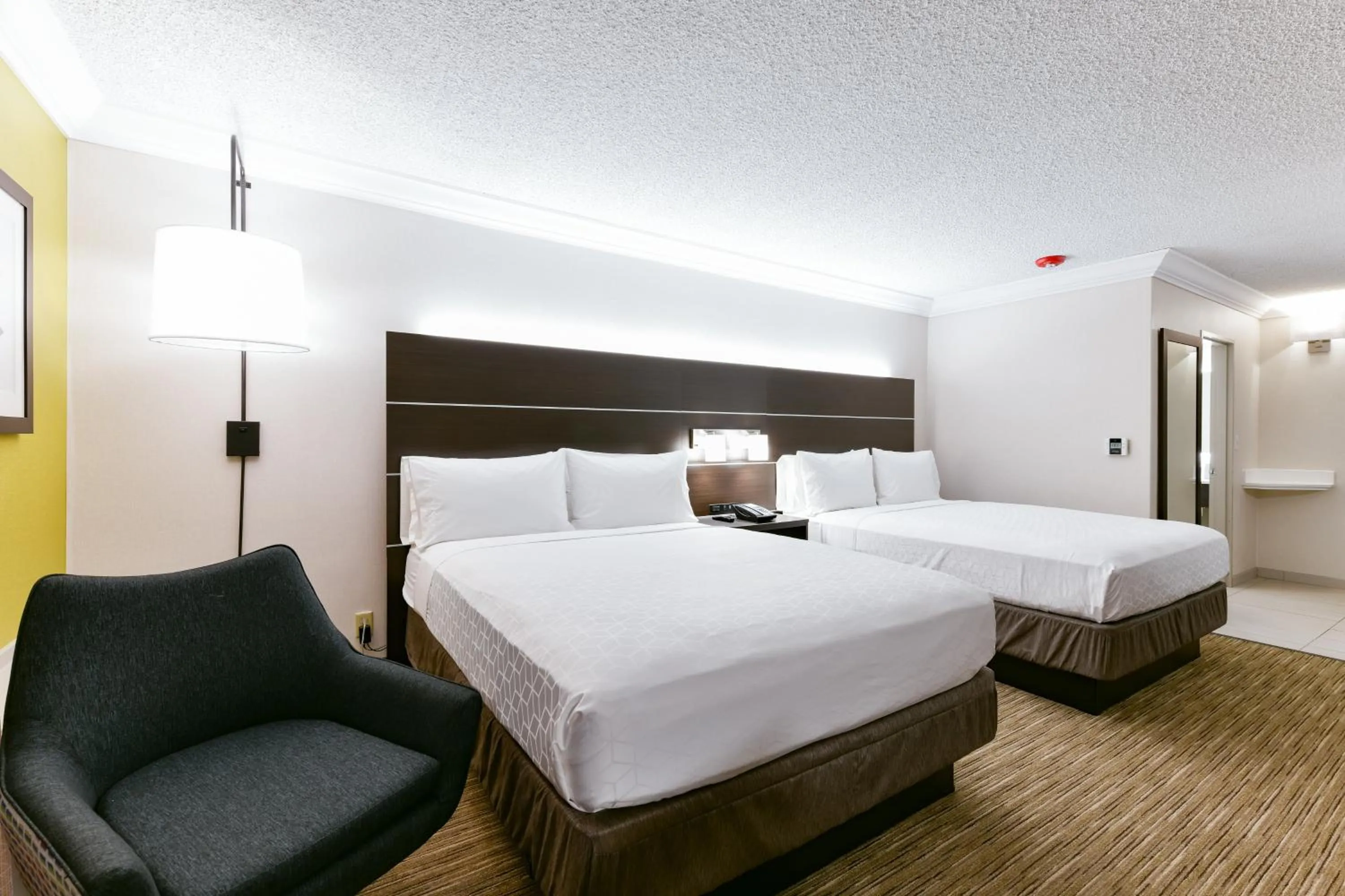 Standard Room with Two Queen Beds in Holiday Inn Express Mill Valley San Francisco Area by IHG