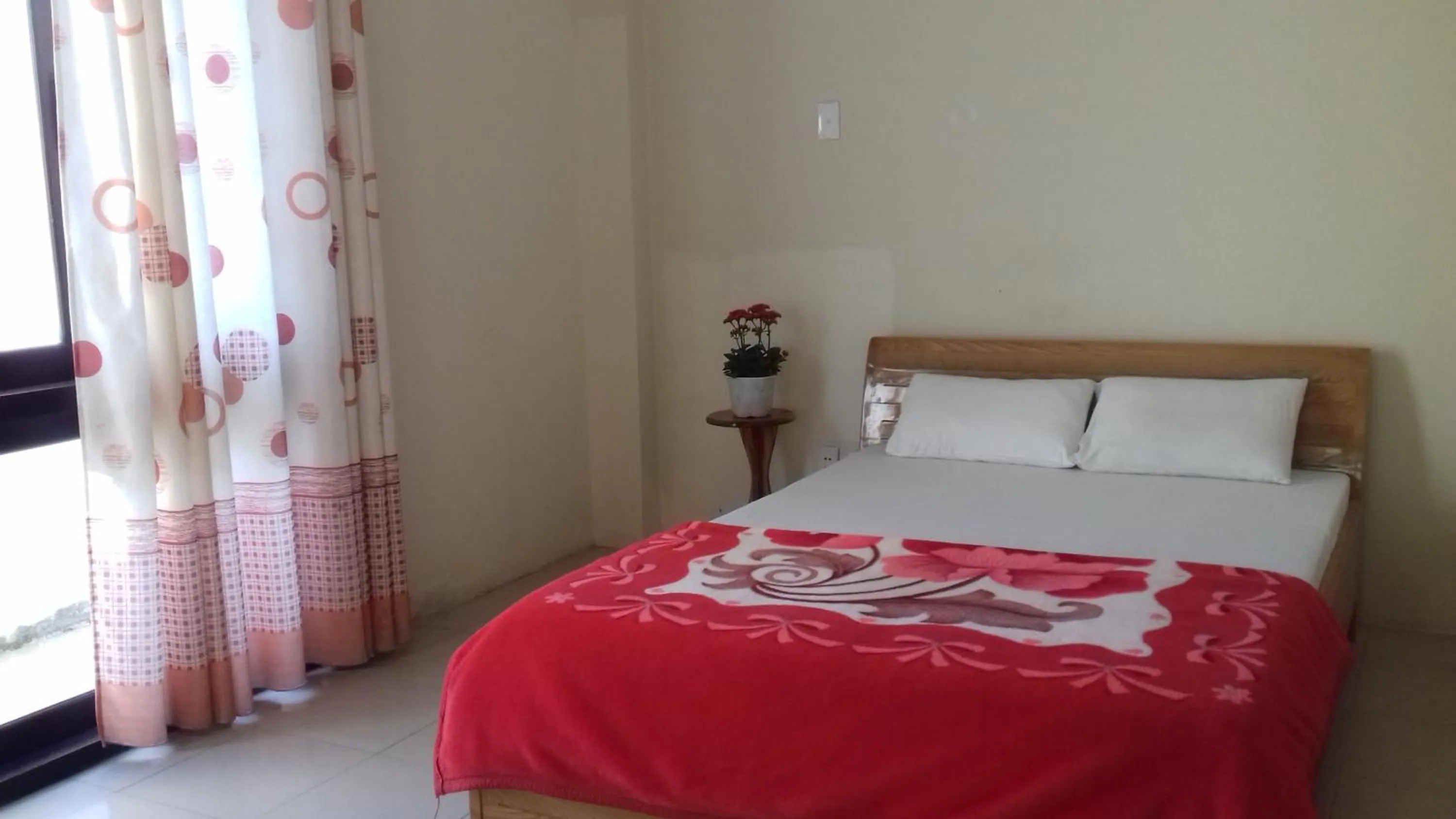 Single Room with Private Bathroom - single occupancy in Tic Guest House