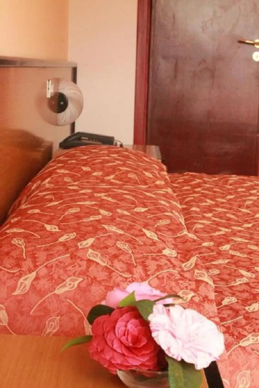 Single Room in Aries