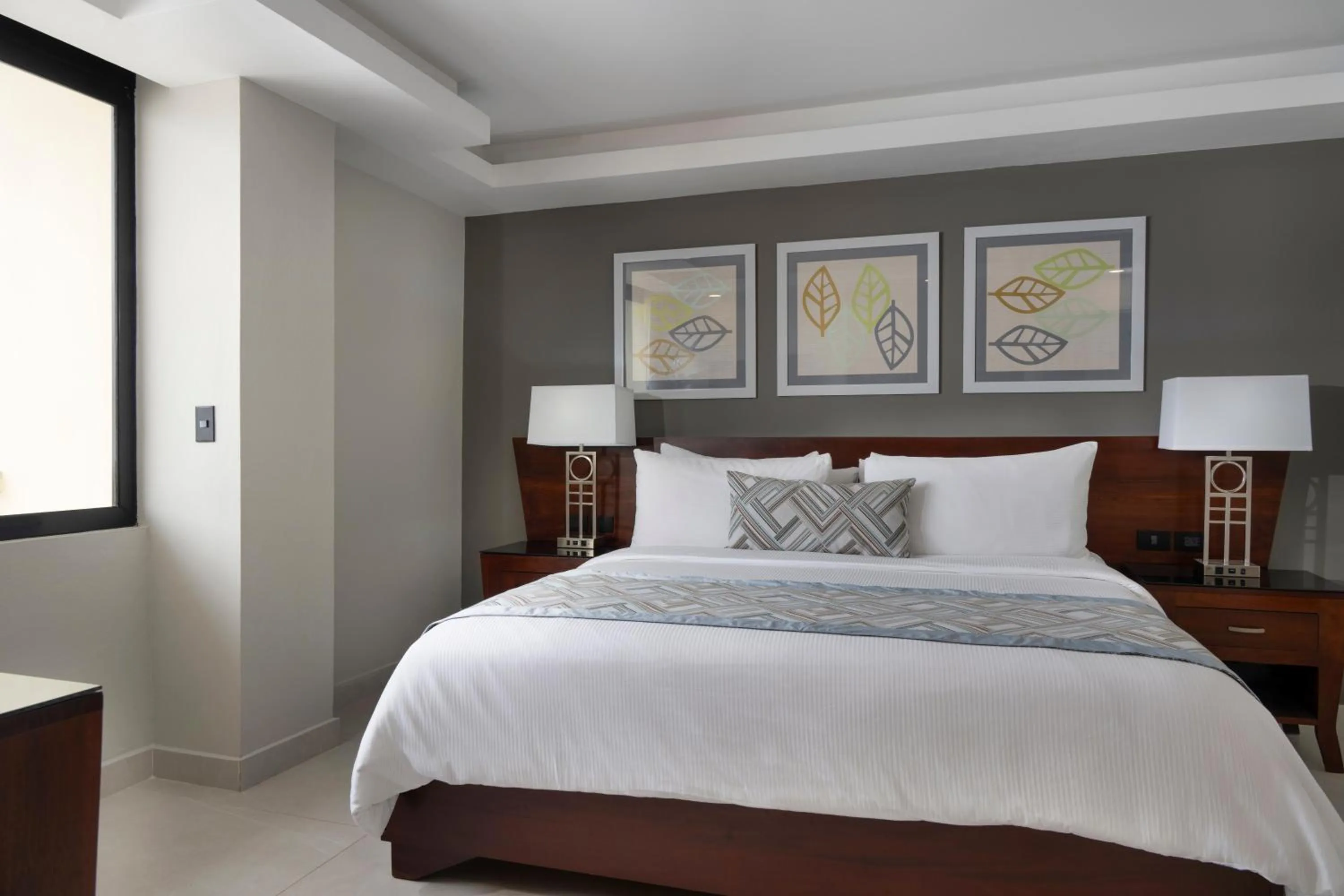 Presidential Suite in Hodelpa Centro Plaza