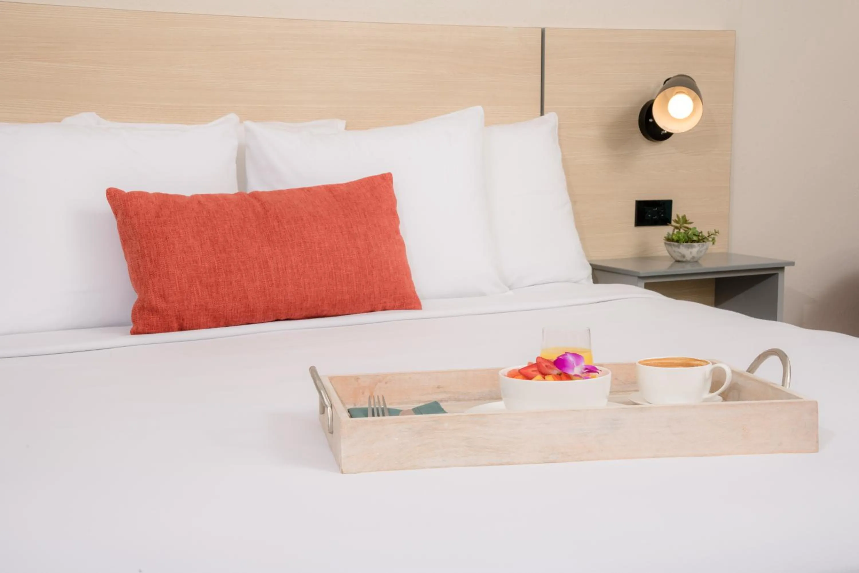 Poolside King Room in Hyatt Centric San Juan Isla Verde