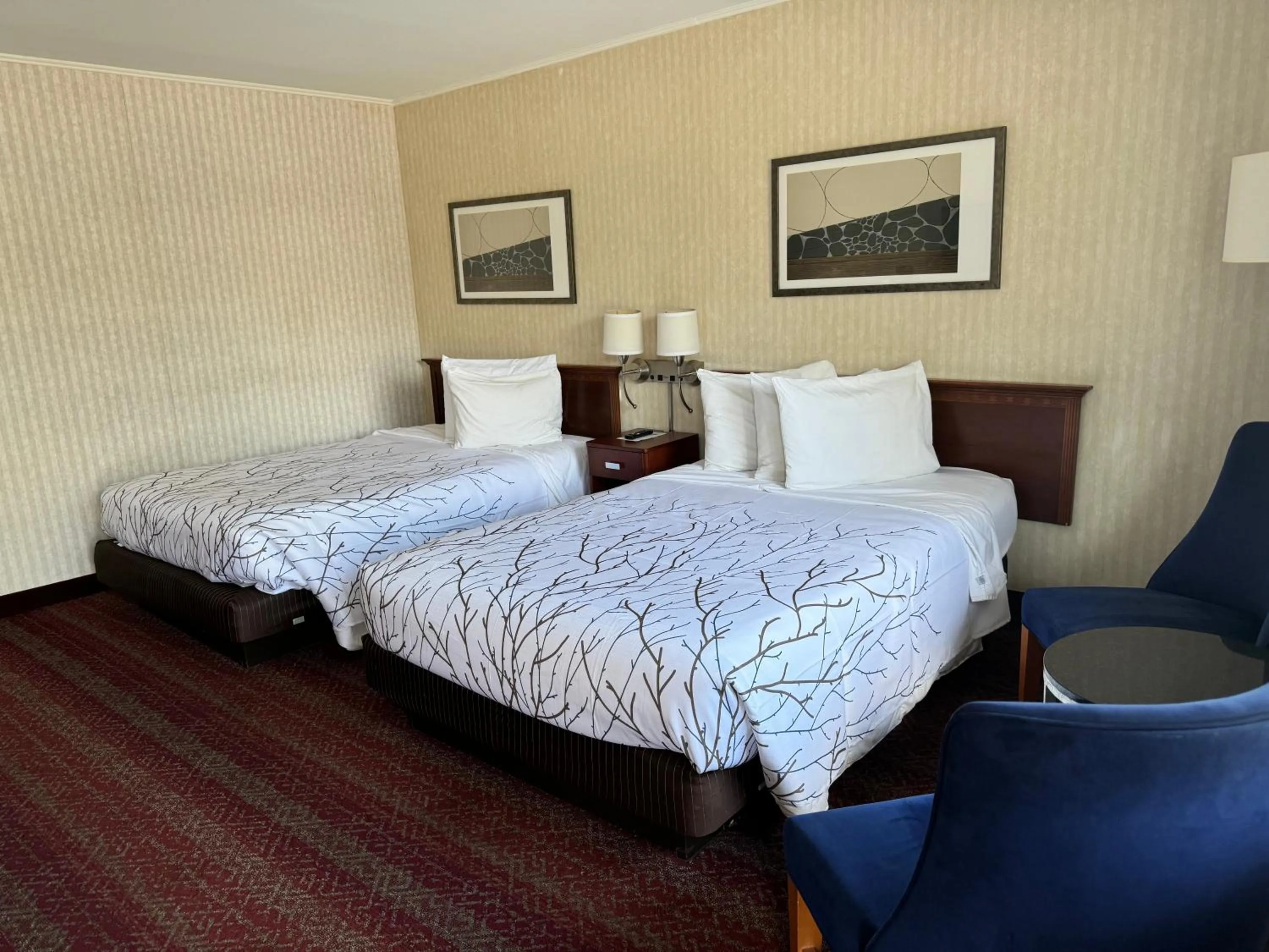 Double Room with Two Double Beds in The Black Mountain Inn