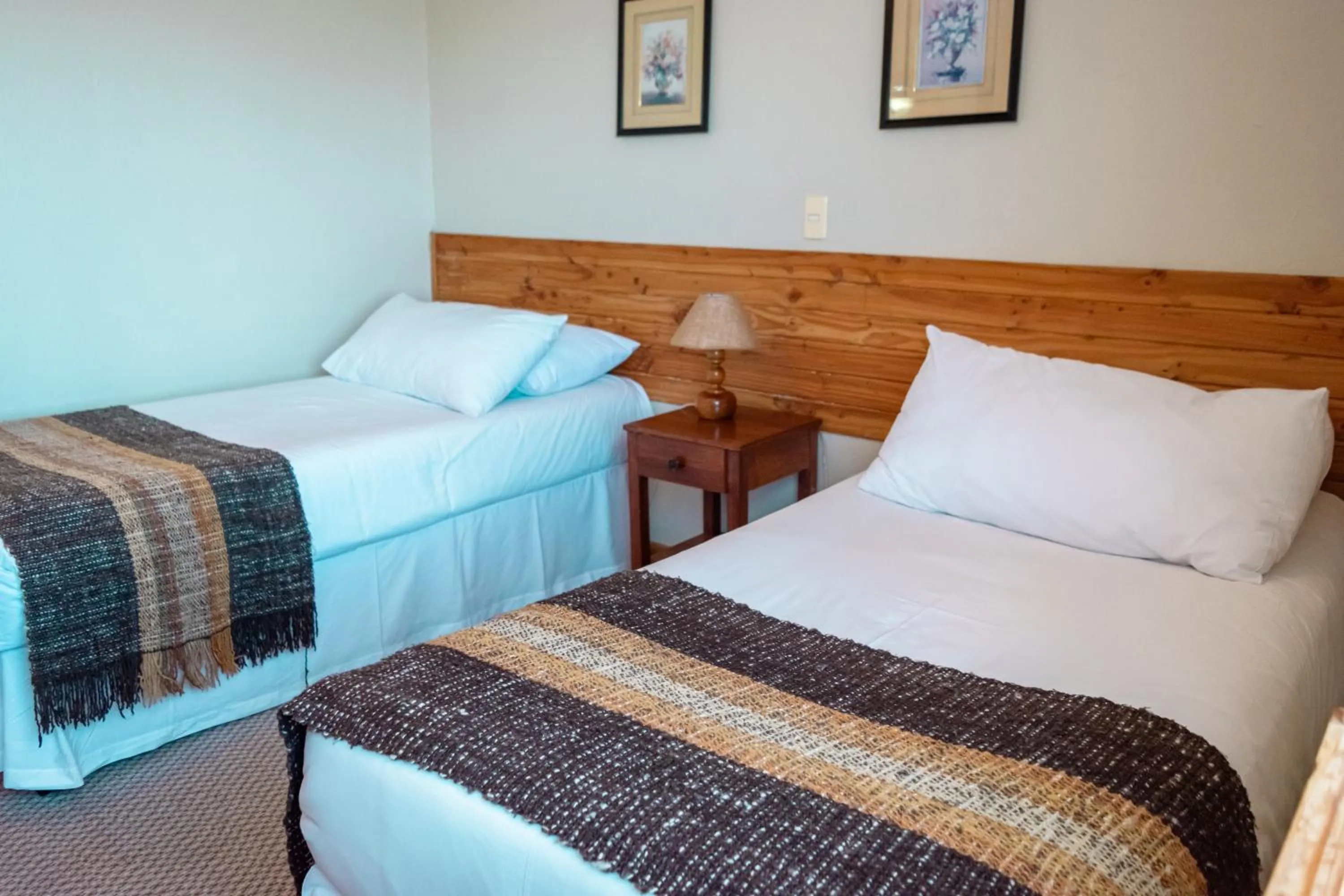 Standard Twin Room in Hotel Borde Lago