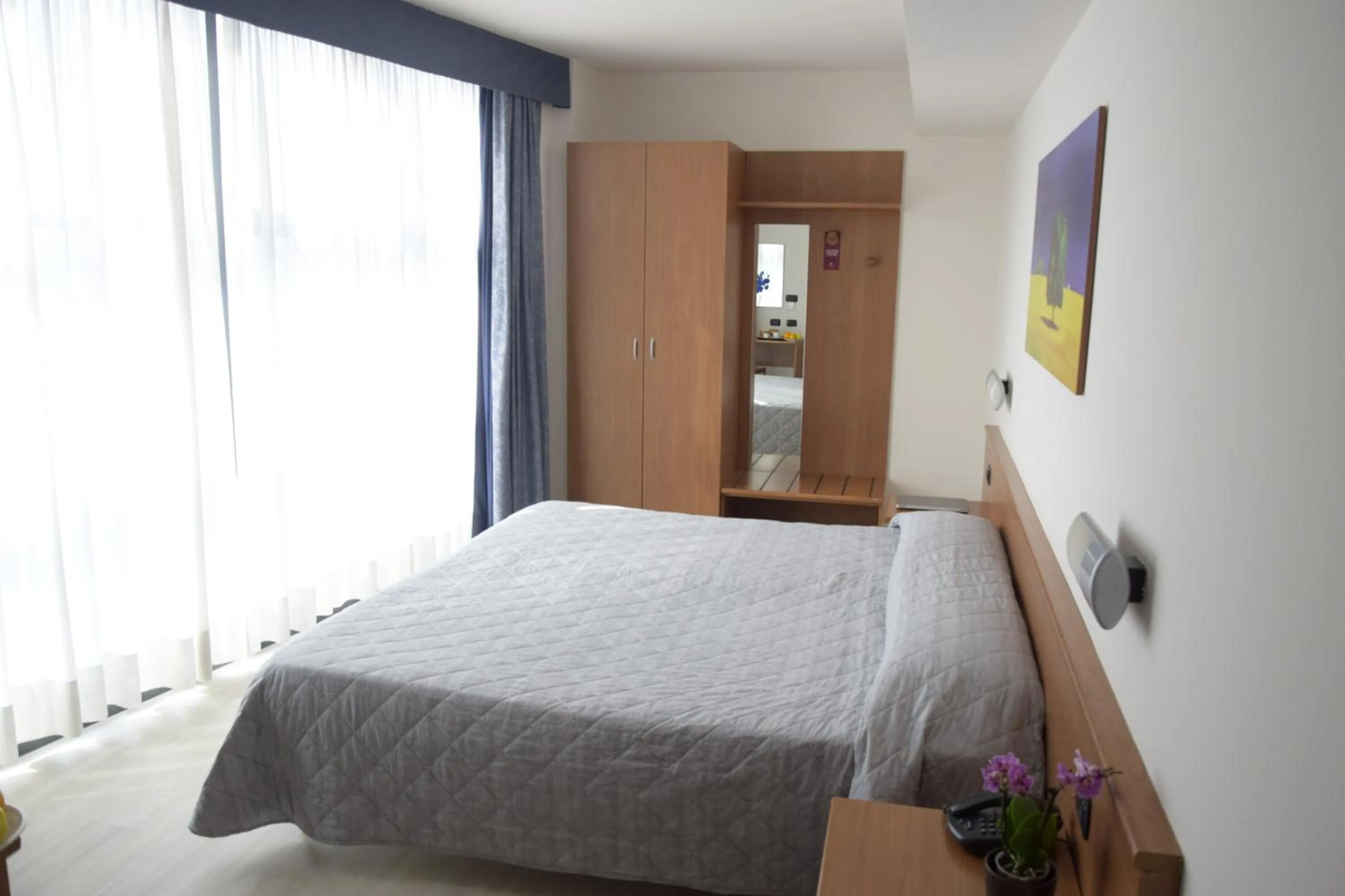 Standard Double Room in Hotel Gallia