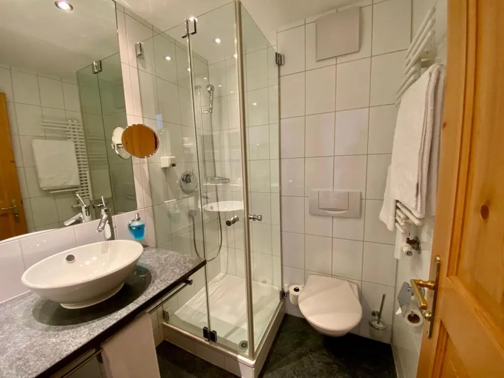 Superior Single Room in Hotel Alpina Parpan