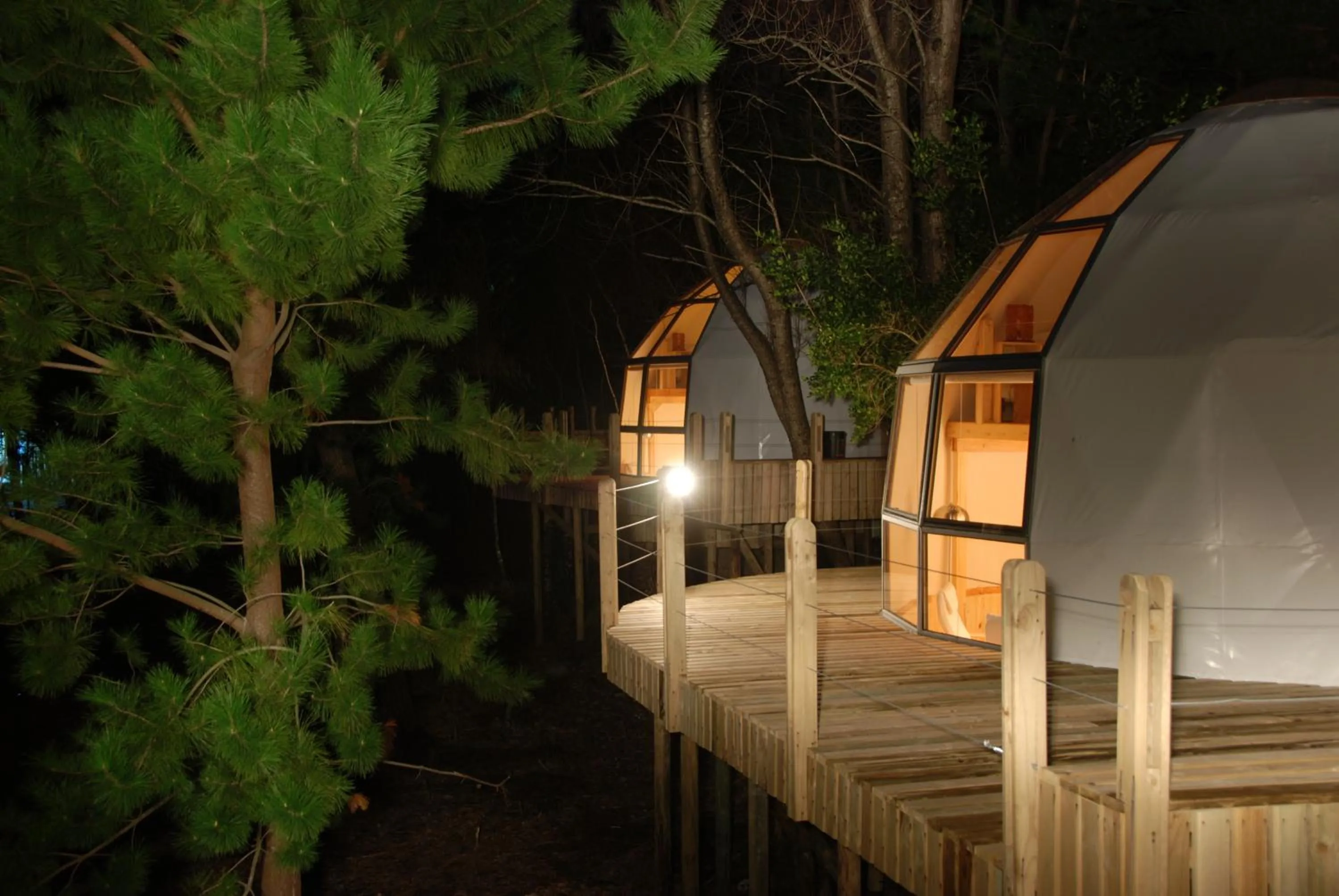 Bungalow (4 Adults) in Magma Lodge, Pucon