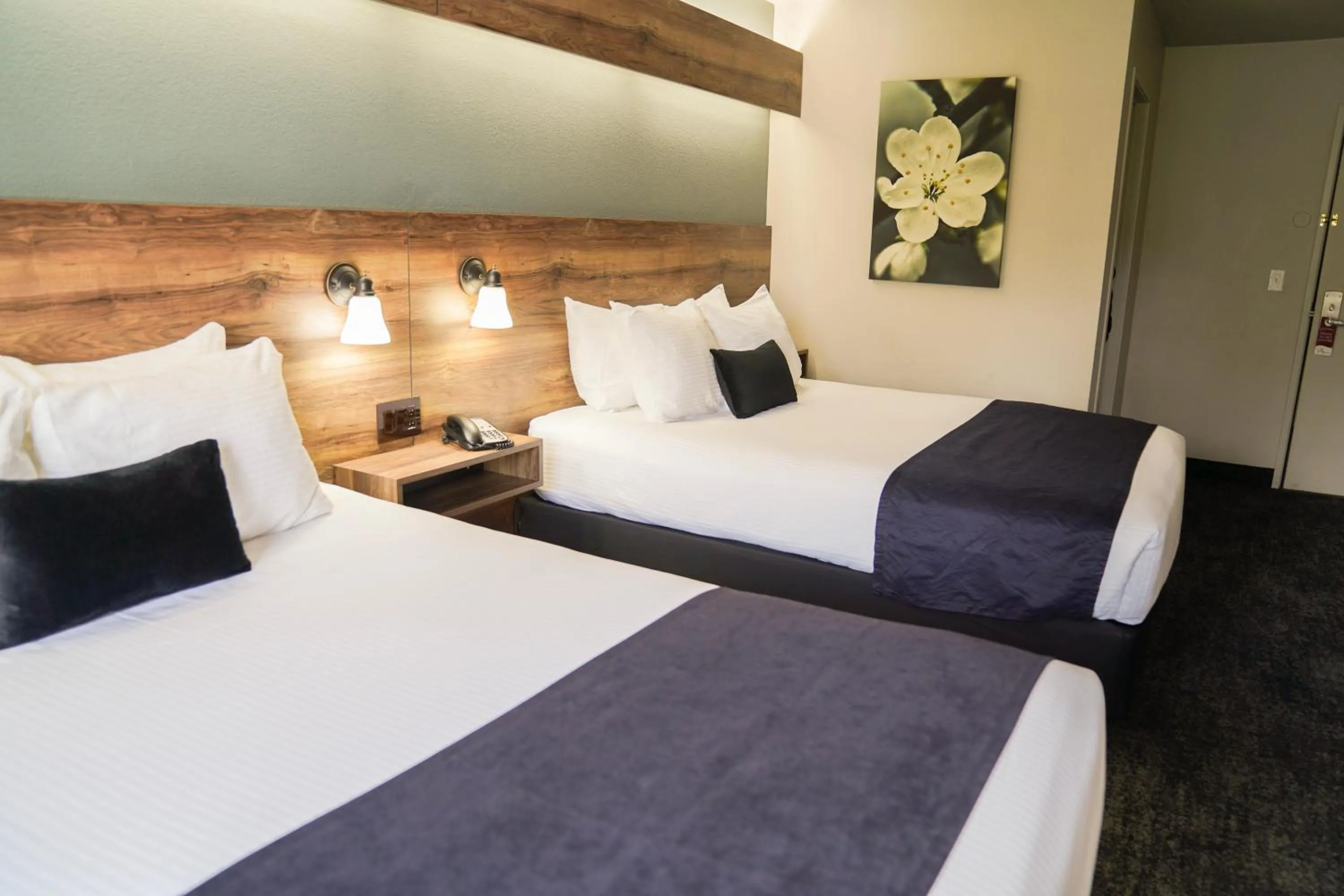 Queen Room with Two Queen Beds in Hotel Ruby Sandpoint