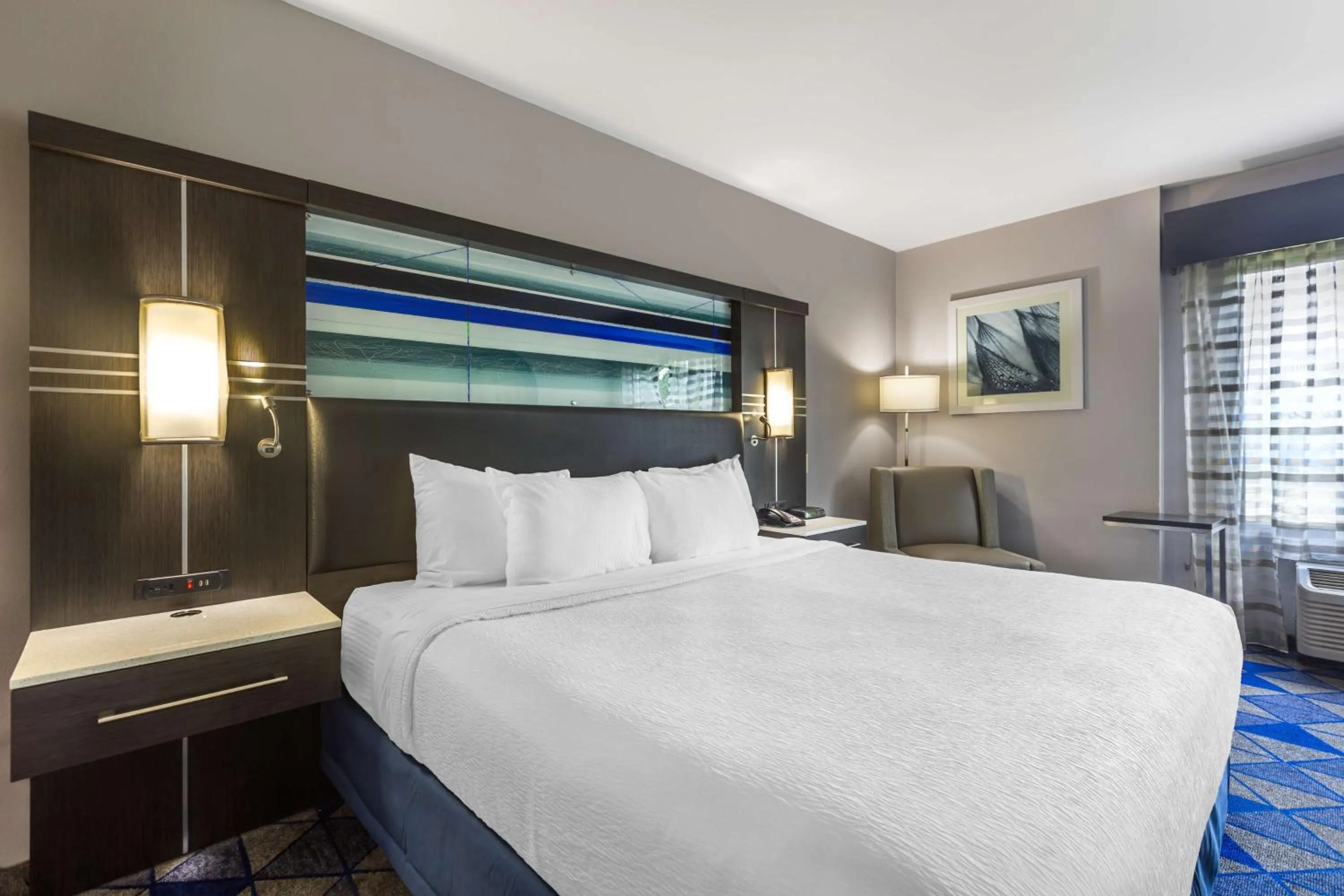 King Room - Shower Only in Best Western Plus Spartanburg