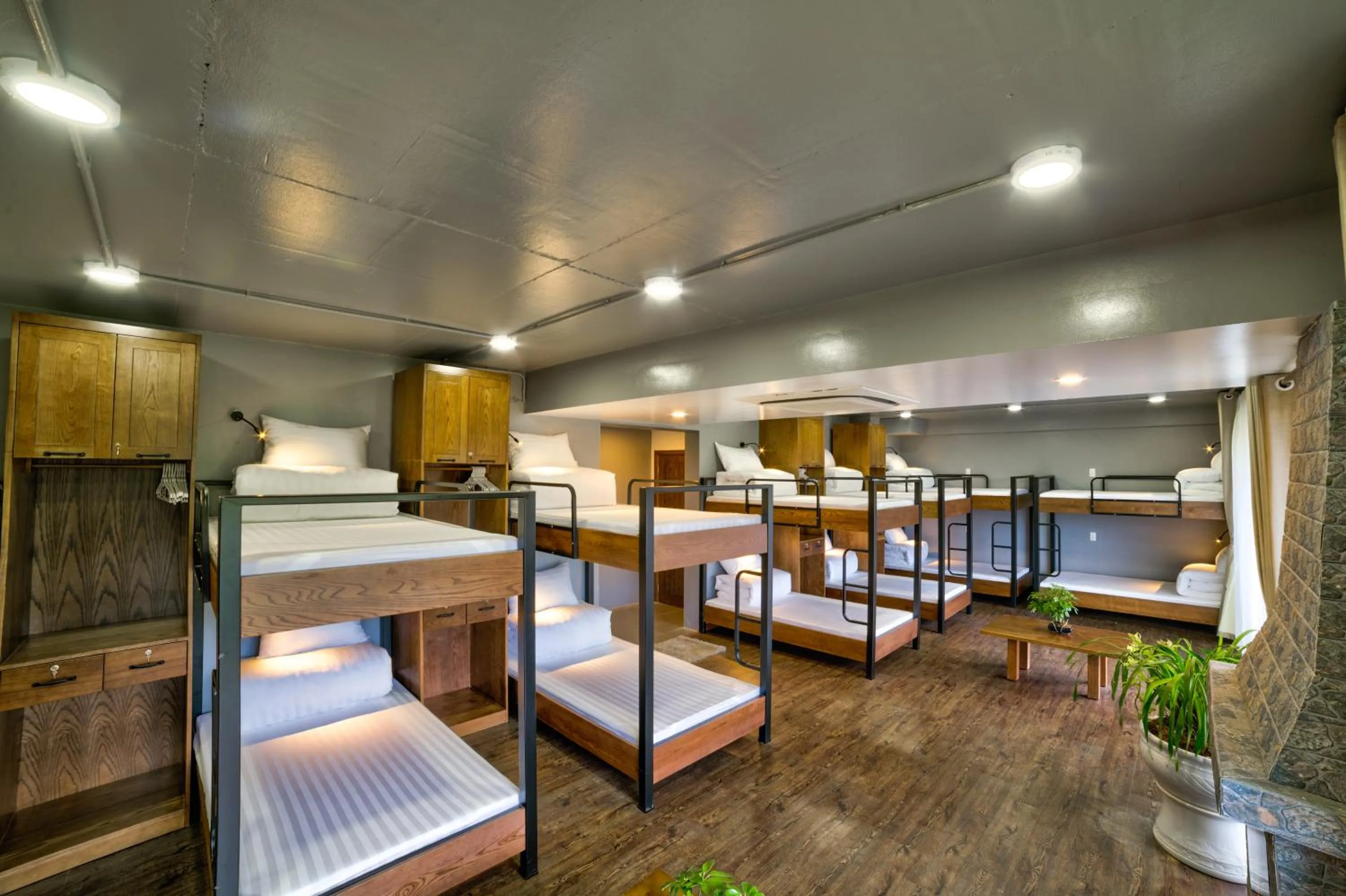 Bunk Bed in Mixed Dormitory Room in Lustig Hostel