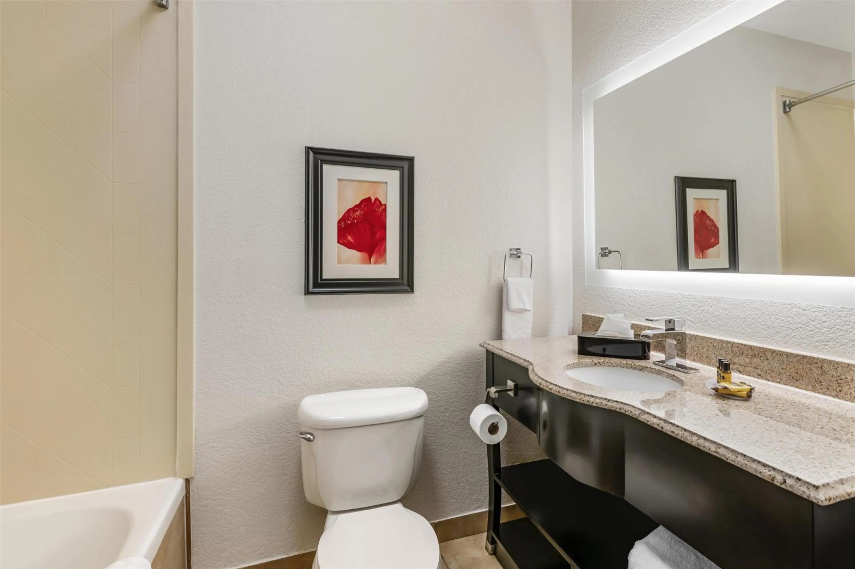 King Suite with Sofa Bed and Bathtub - Disability Access/Non-Smoking in Best Western Plus JFK Inn & Suites