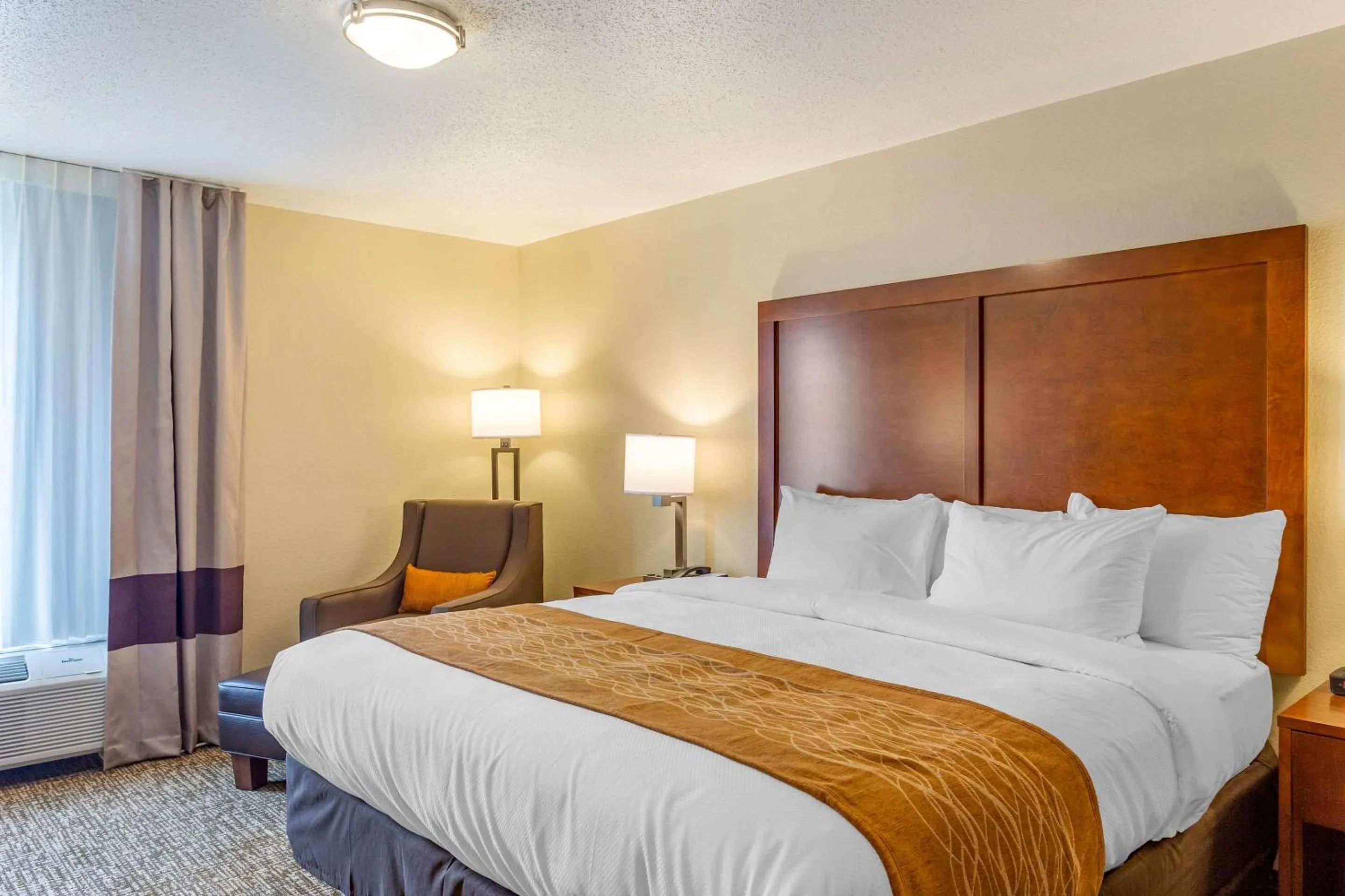 Superior King Suite - Non-Smoking in Comfort Inn DeKalb - University Area