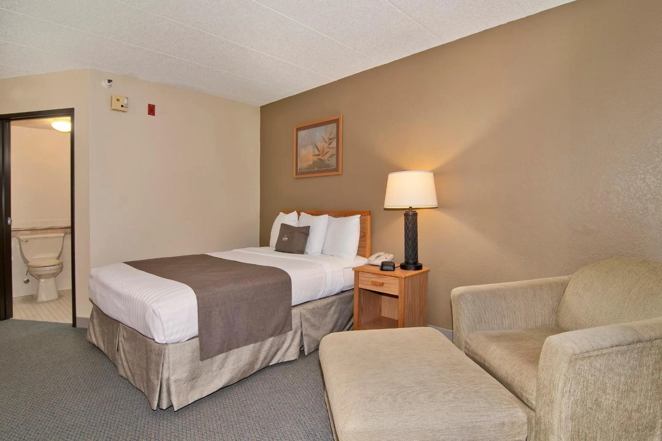 Queen Room - Disability Access in Boarders Inn & Suites by Cobblestone Hotels - Faribault