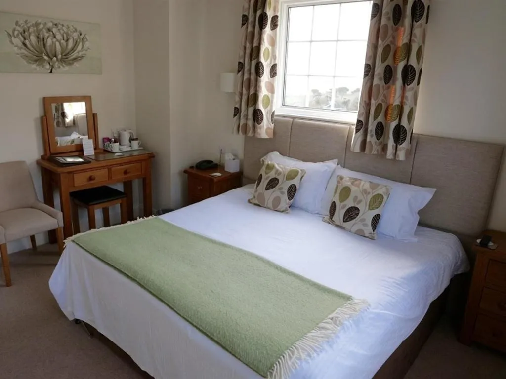 Standard Twin Room - single occupancy in Trelawne Hotel