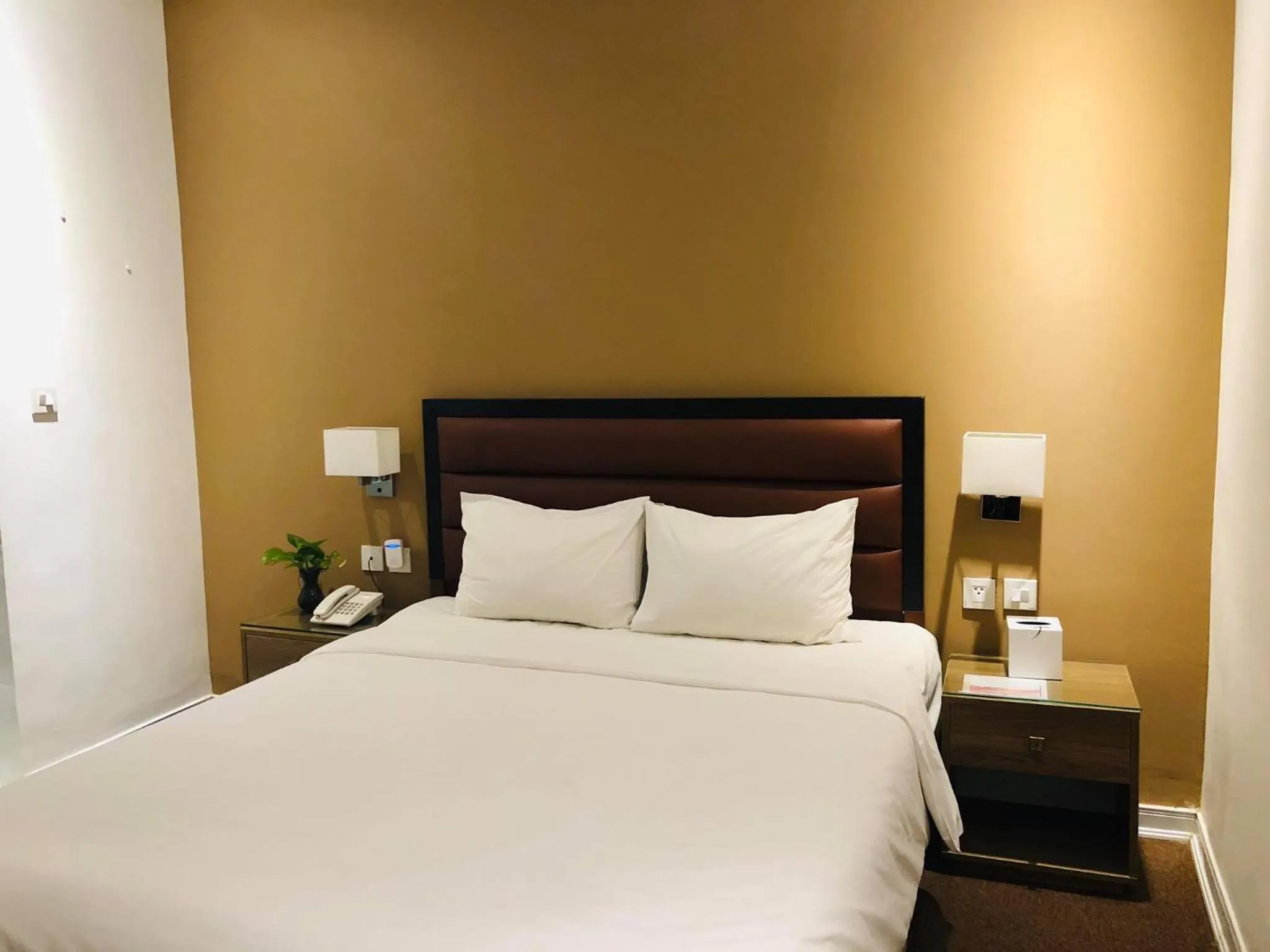 Standard Double Room in Vy House