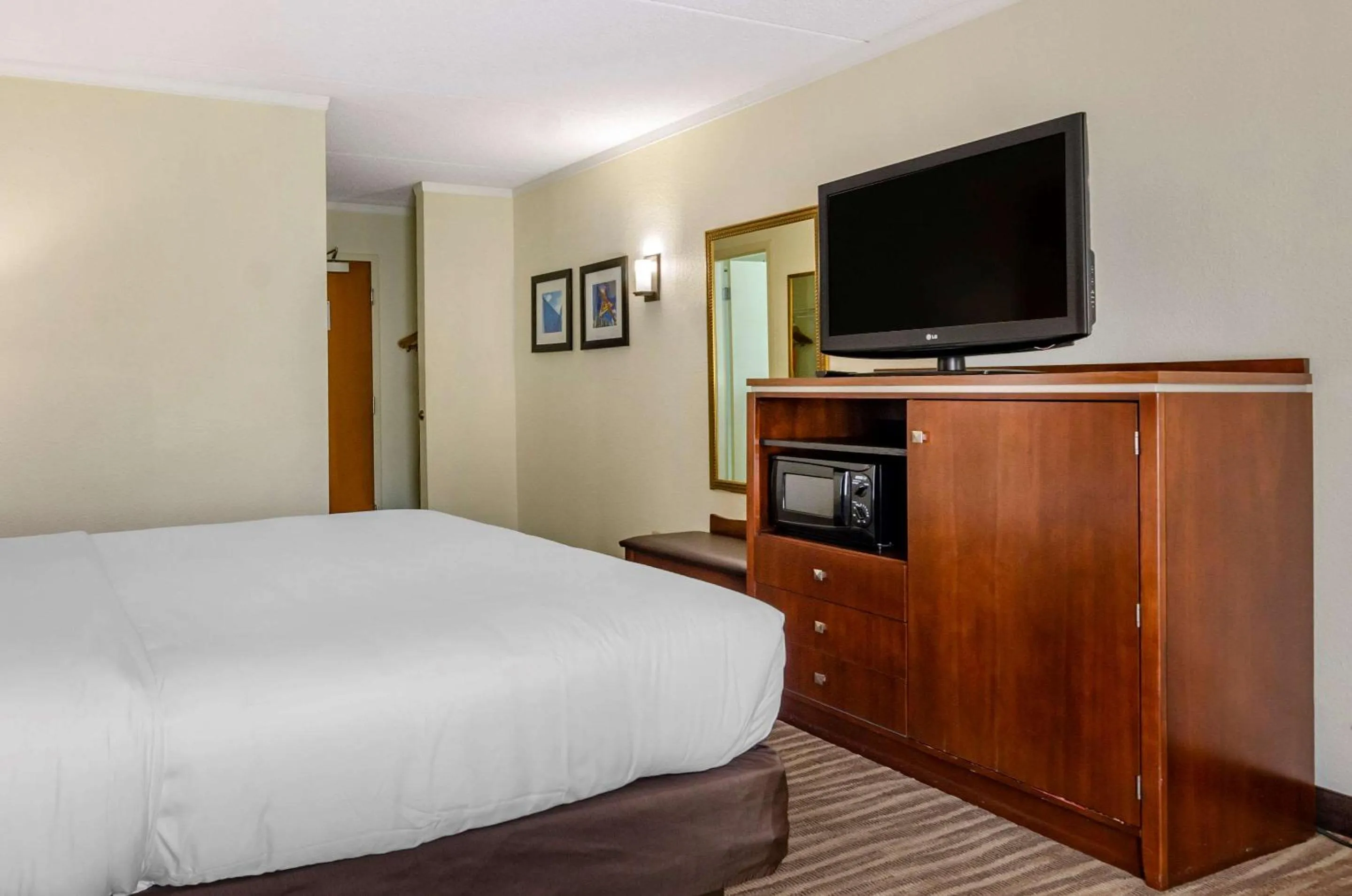 Queen Room with Sofa Bed in Spark by Hilton Roanoke Civic Center