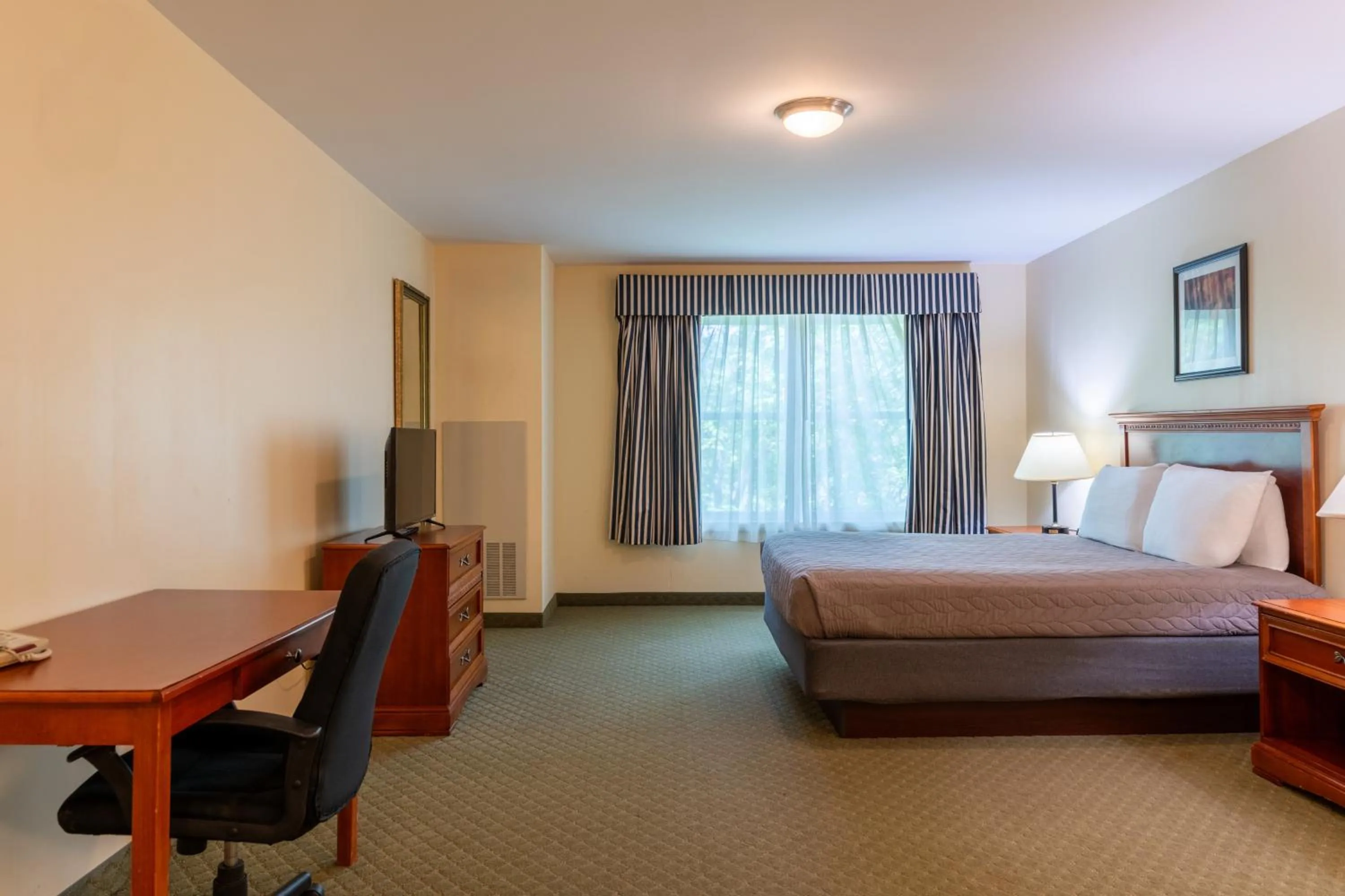 Queen Studio in White River Inn & Suites